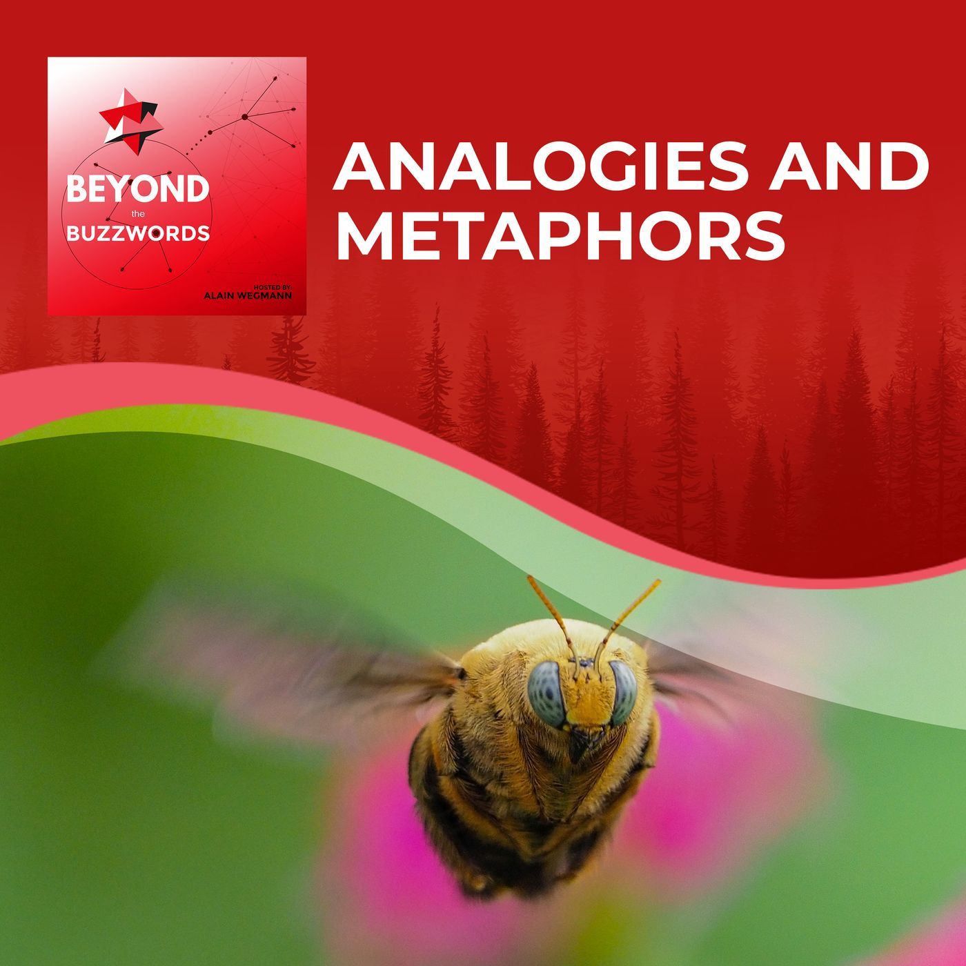 Analogies and Metaphors S1:E2 episode artwork
