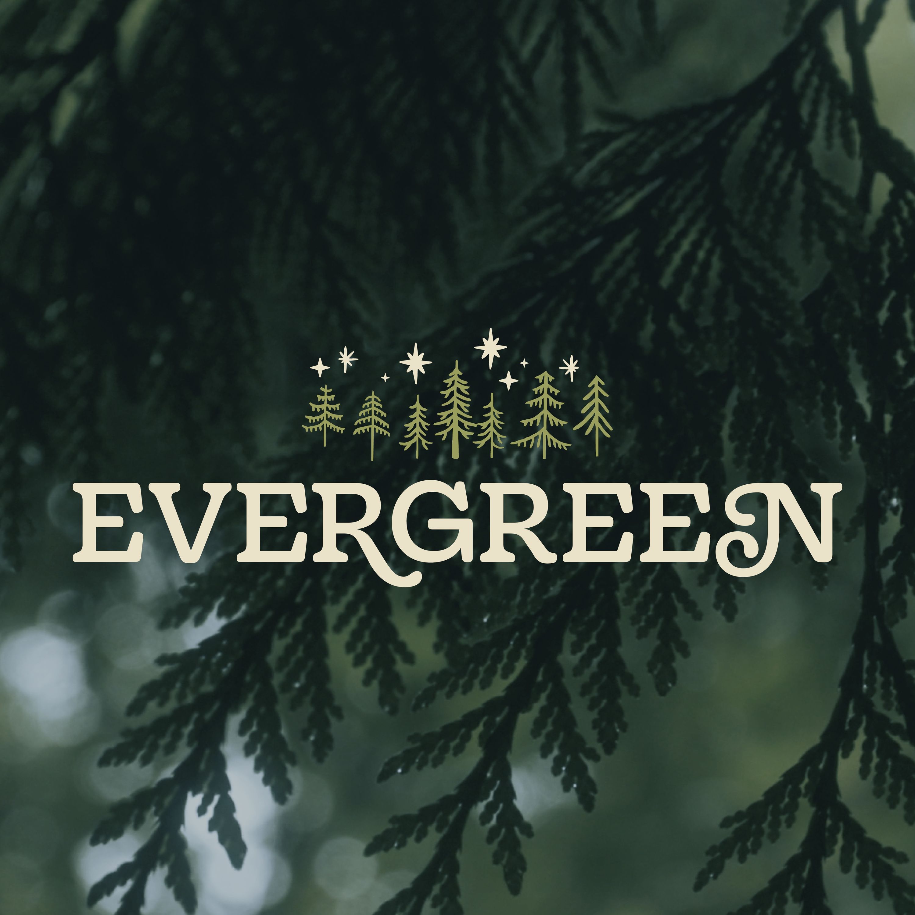Evergreen | Finale | Dr. Collin Outerbridge