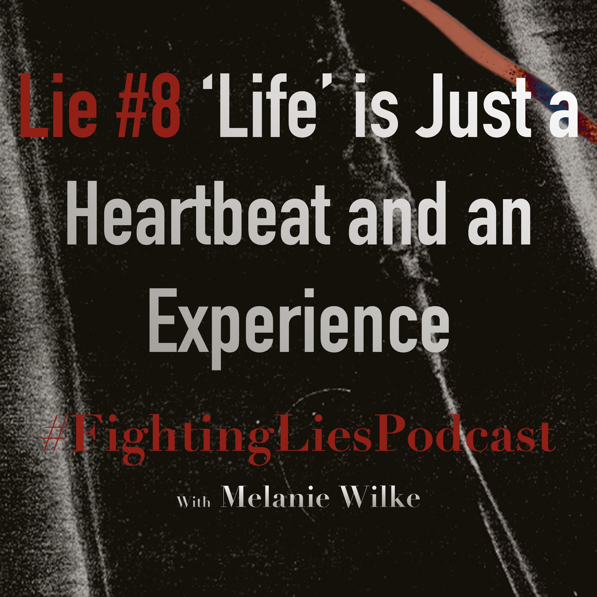 Fighting Lies Podcast: Lie #8 "Life" Is Just a Heartbeat and an Experience episode artwork