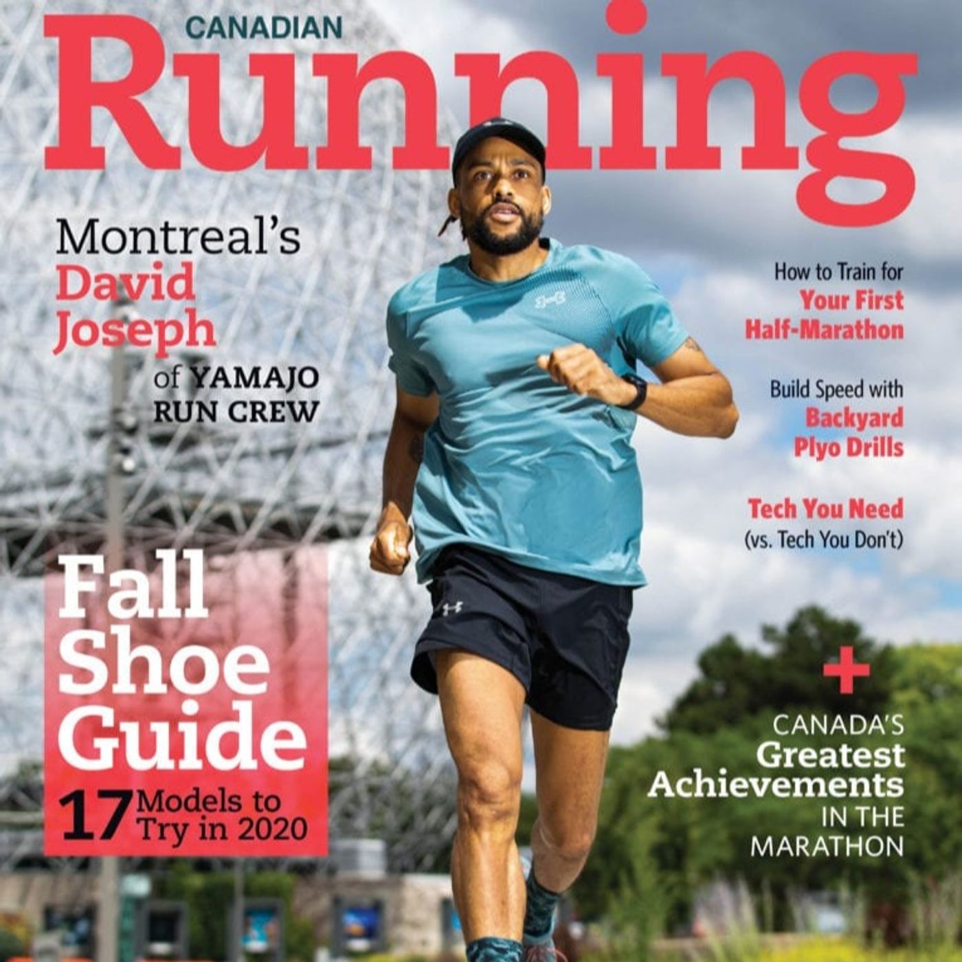 The Shakeout Podcast