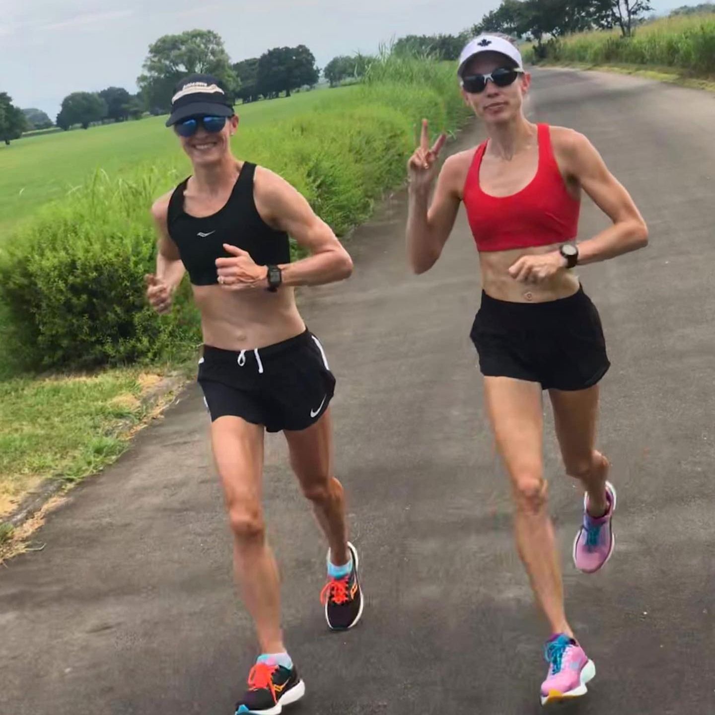 The Shakeout Podcast