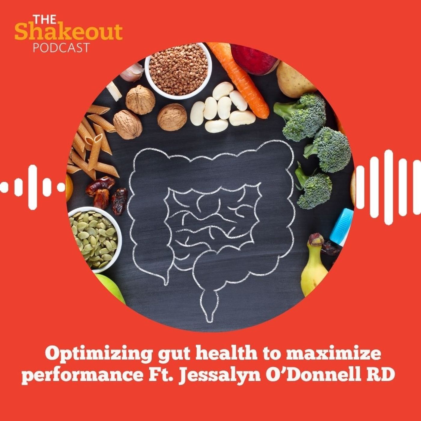 Optimizing Gut Health to Maximize Performance Ft. Jessalyn O’Donnell RD
