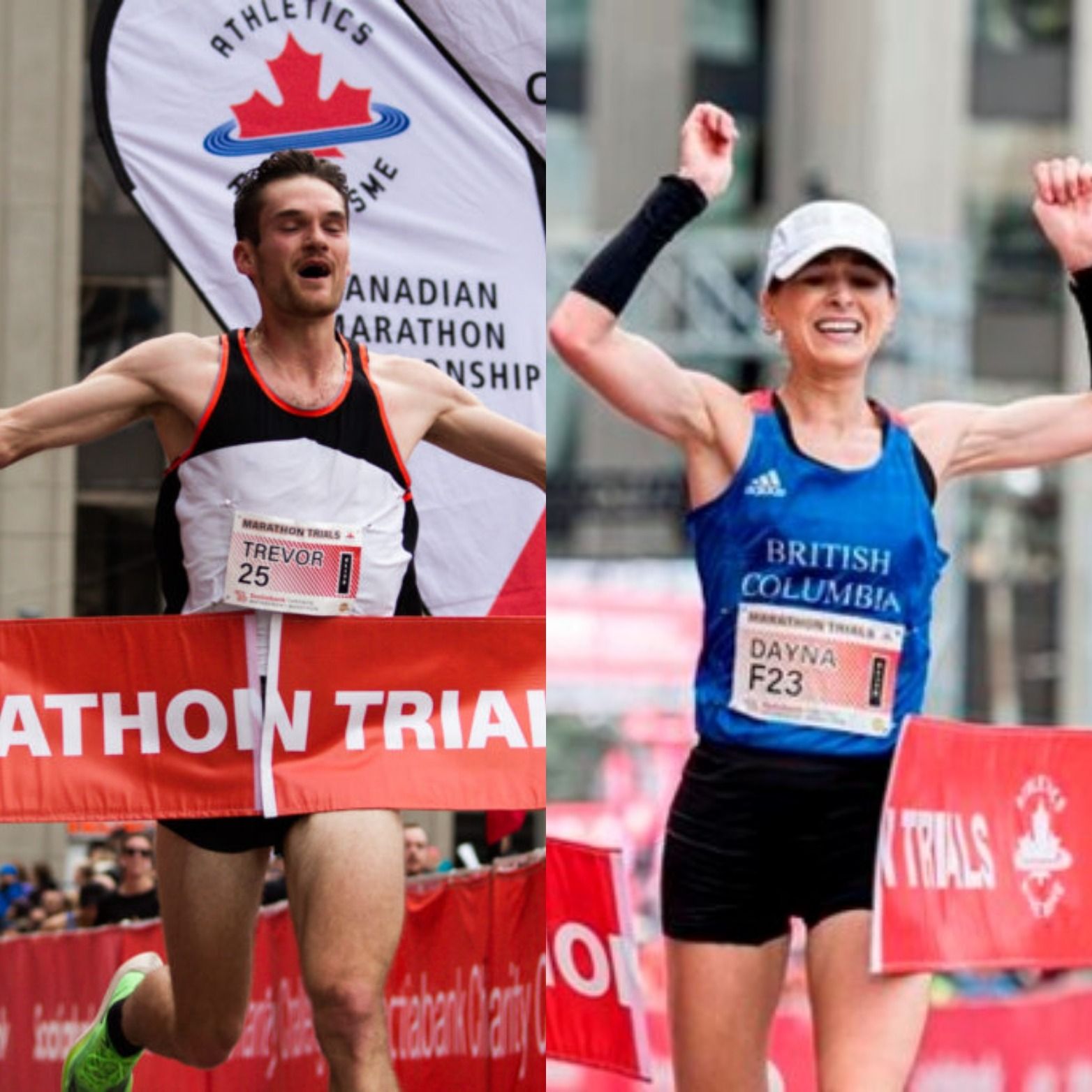 The Shakeout Podcast