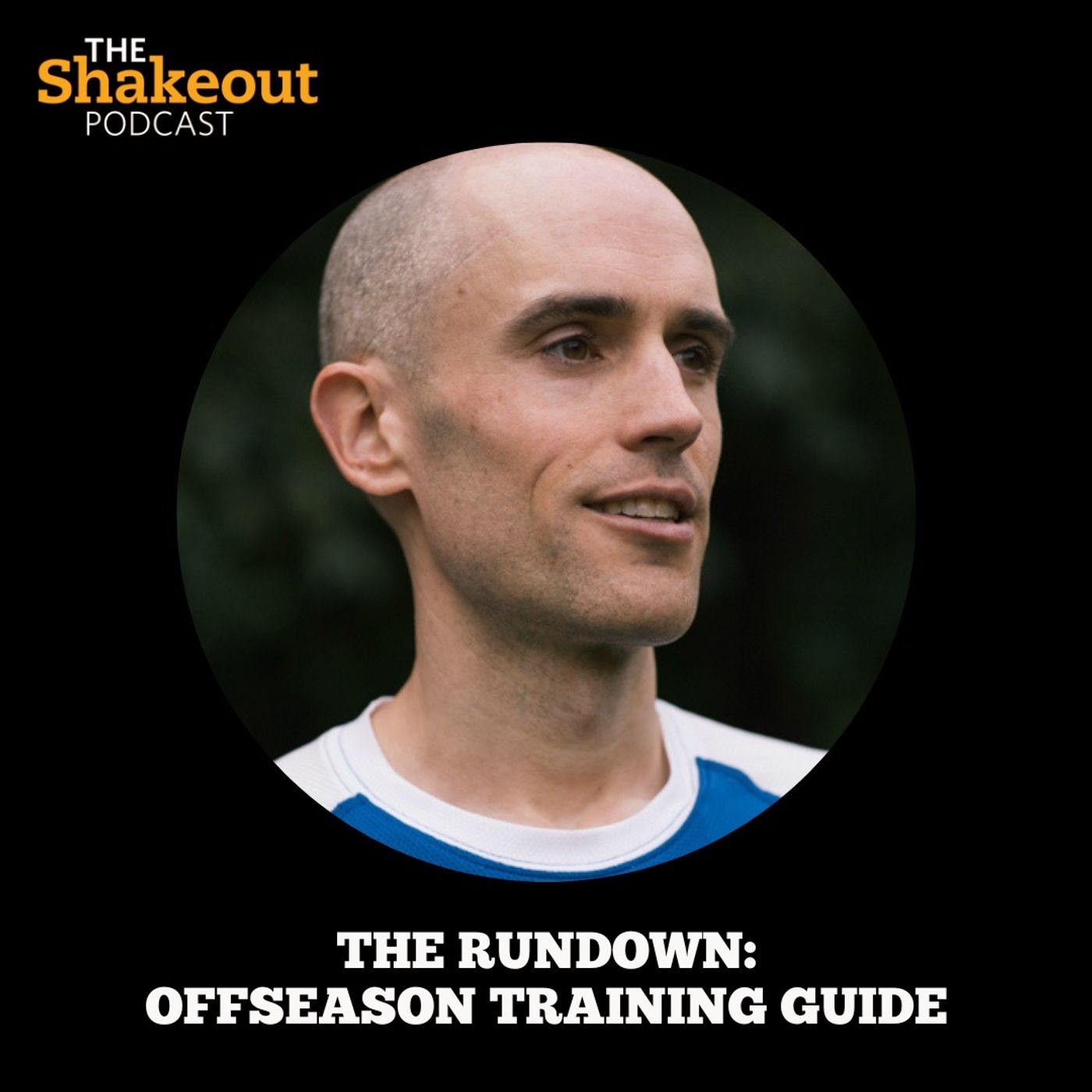 The Shakeout Podcast