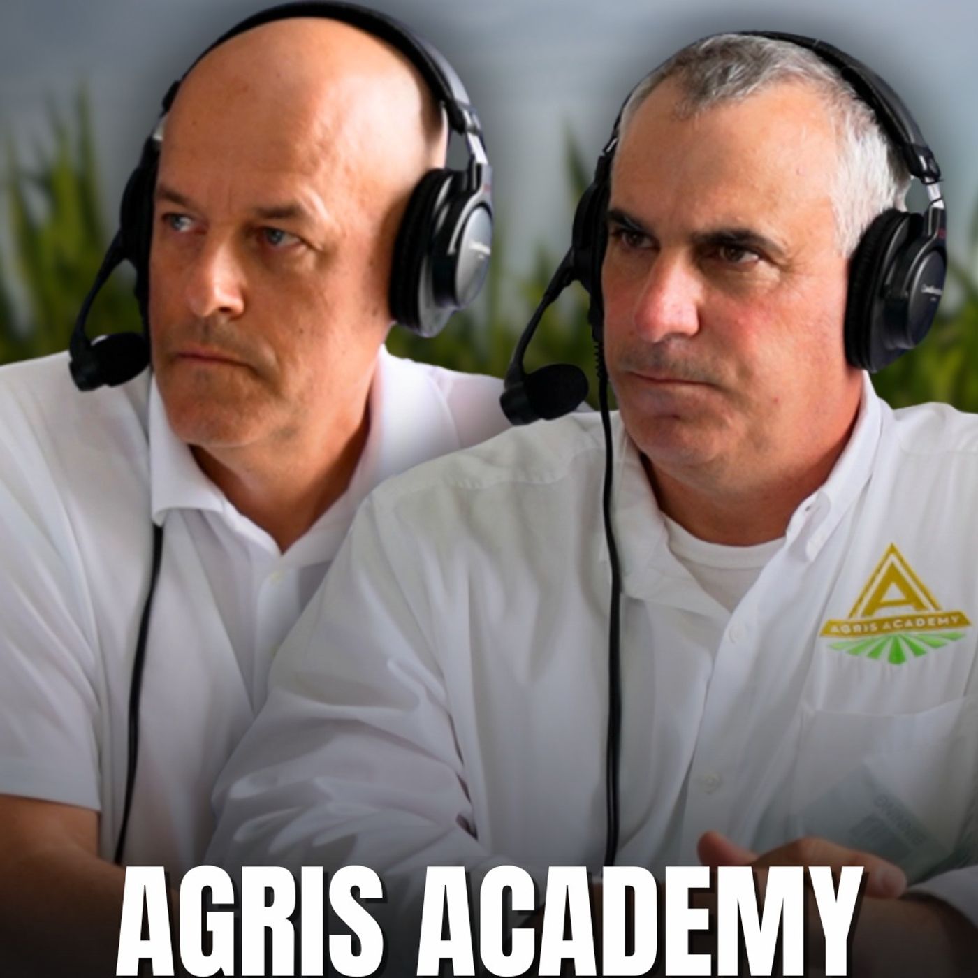 No Silver Bullets, Just Better Skills: Grain Marketing
