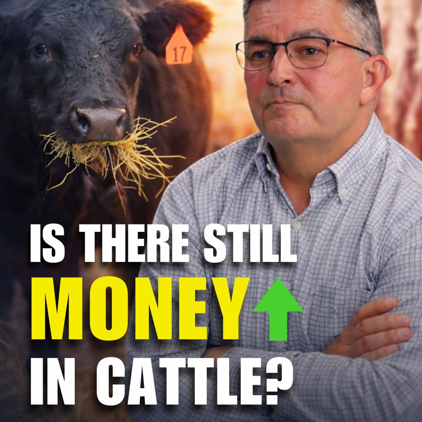 Most Feeders Don’t Have a Roadmap — Time to Fix That