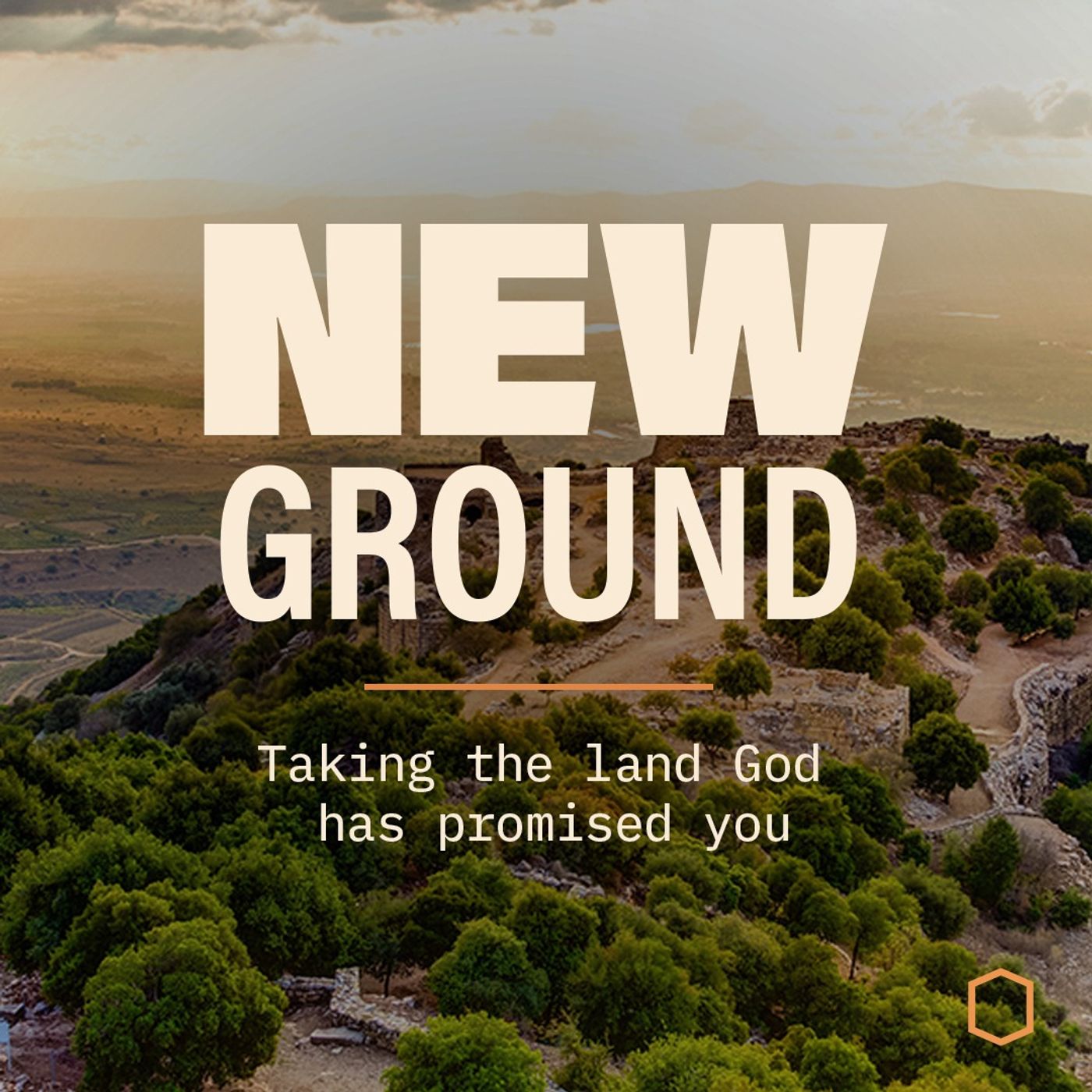 Owners of the Promise: New Ground - Jon Laurenzo