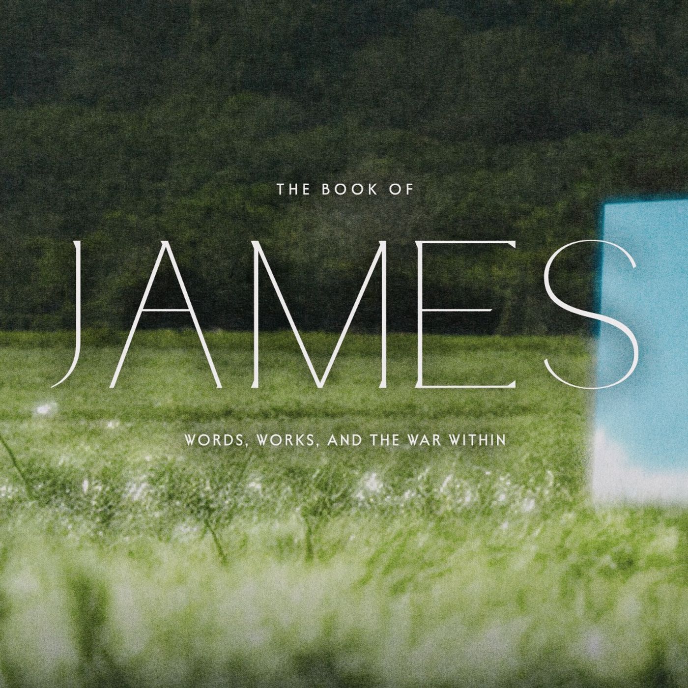 A Call to Return: The Book of James - Tosha Zwanziger