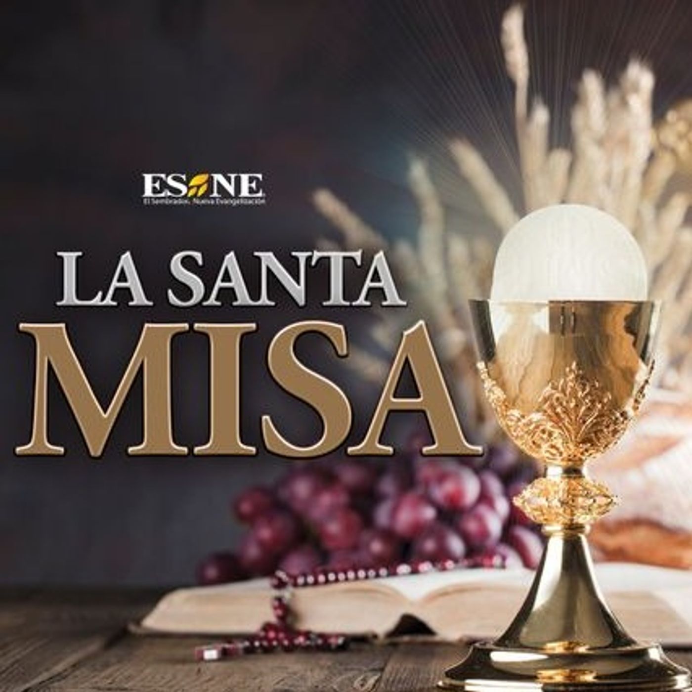 Misa de Hoy Martes 08 de Septiembre, 2026 episode artwork