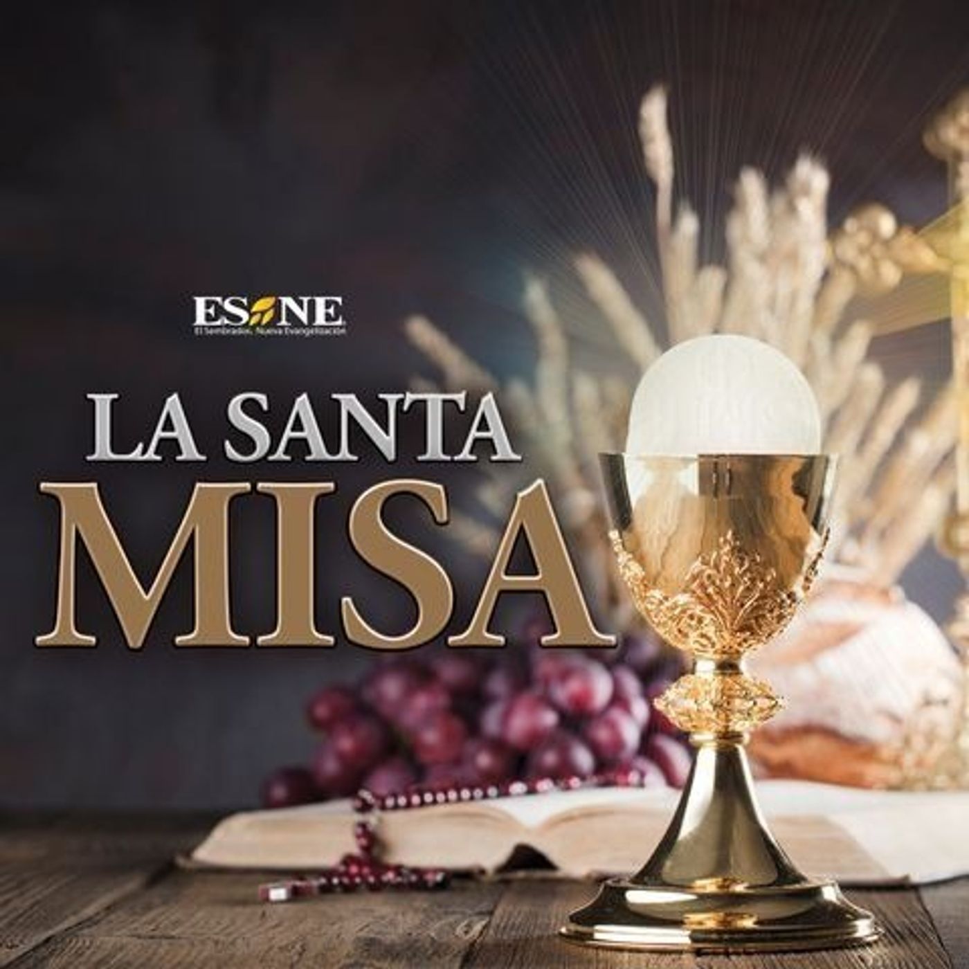 Misa de Hoy Lunes 03 de Agosto, 2026 episode artwork