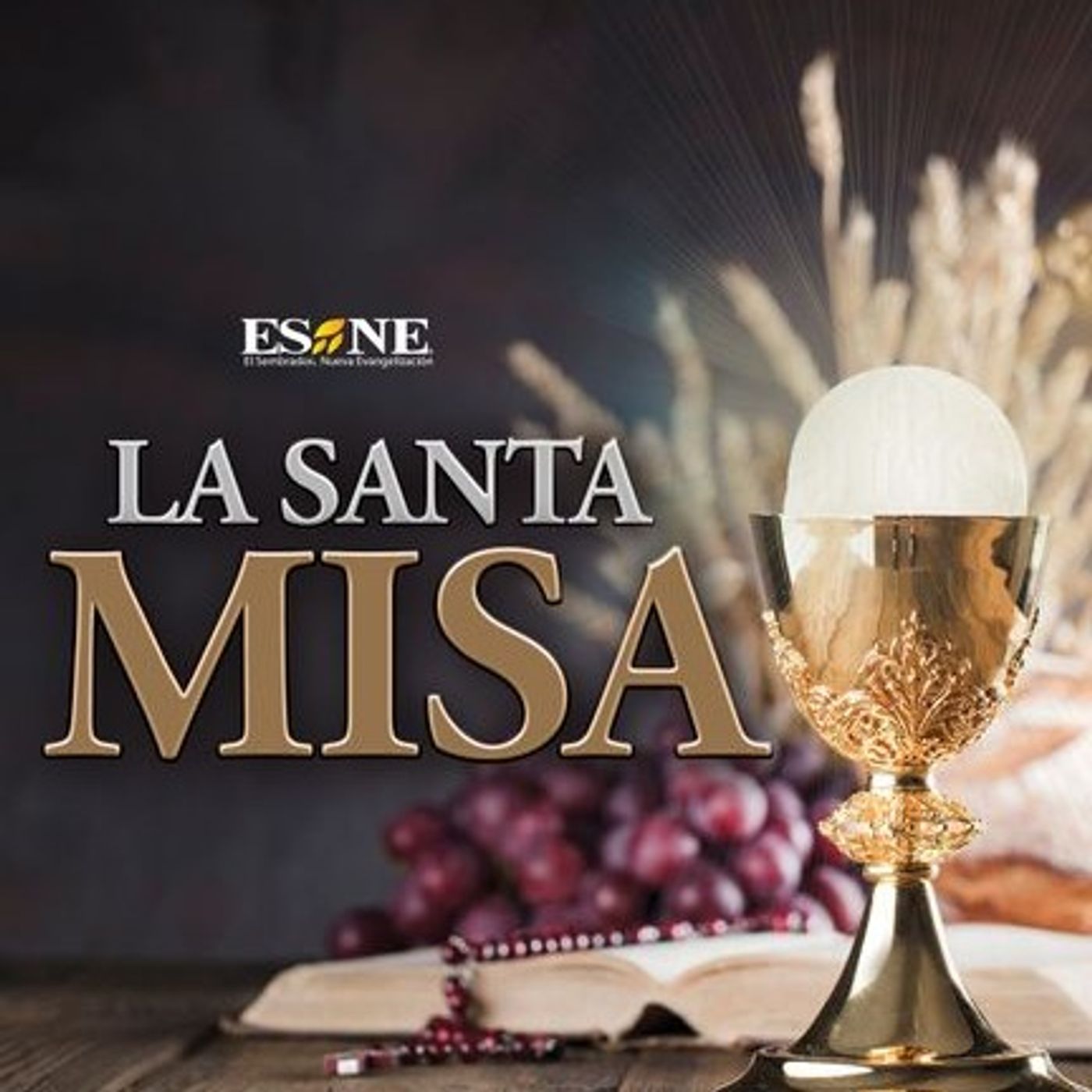 Misa de Hoy Viernes 11 de Septiembre, 2026 episode artwork