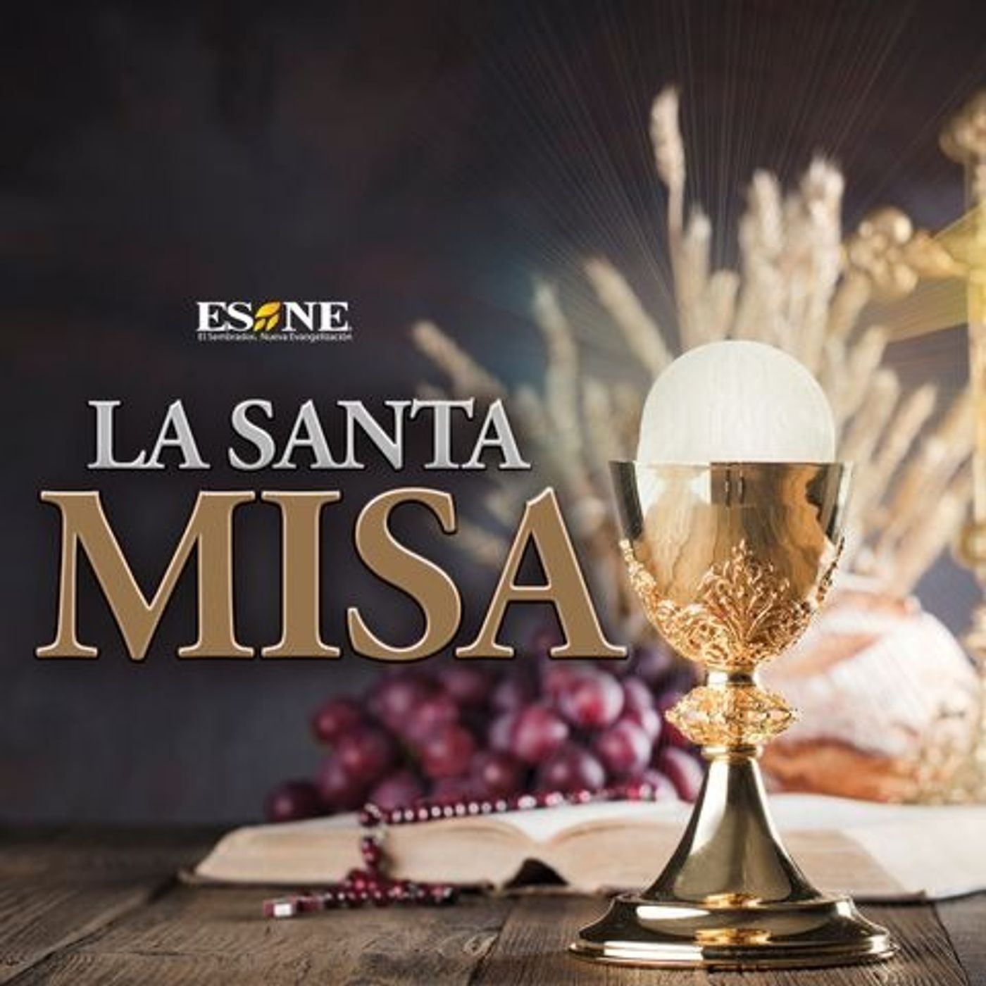 Misa de Hoy Martes 23 de Junio, 2026 episode artwork