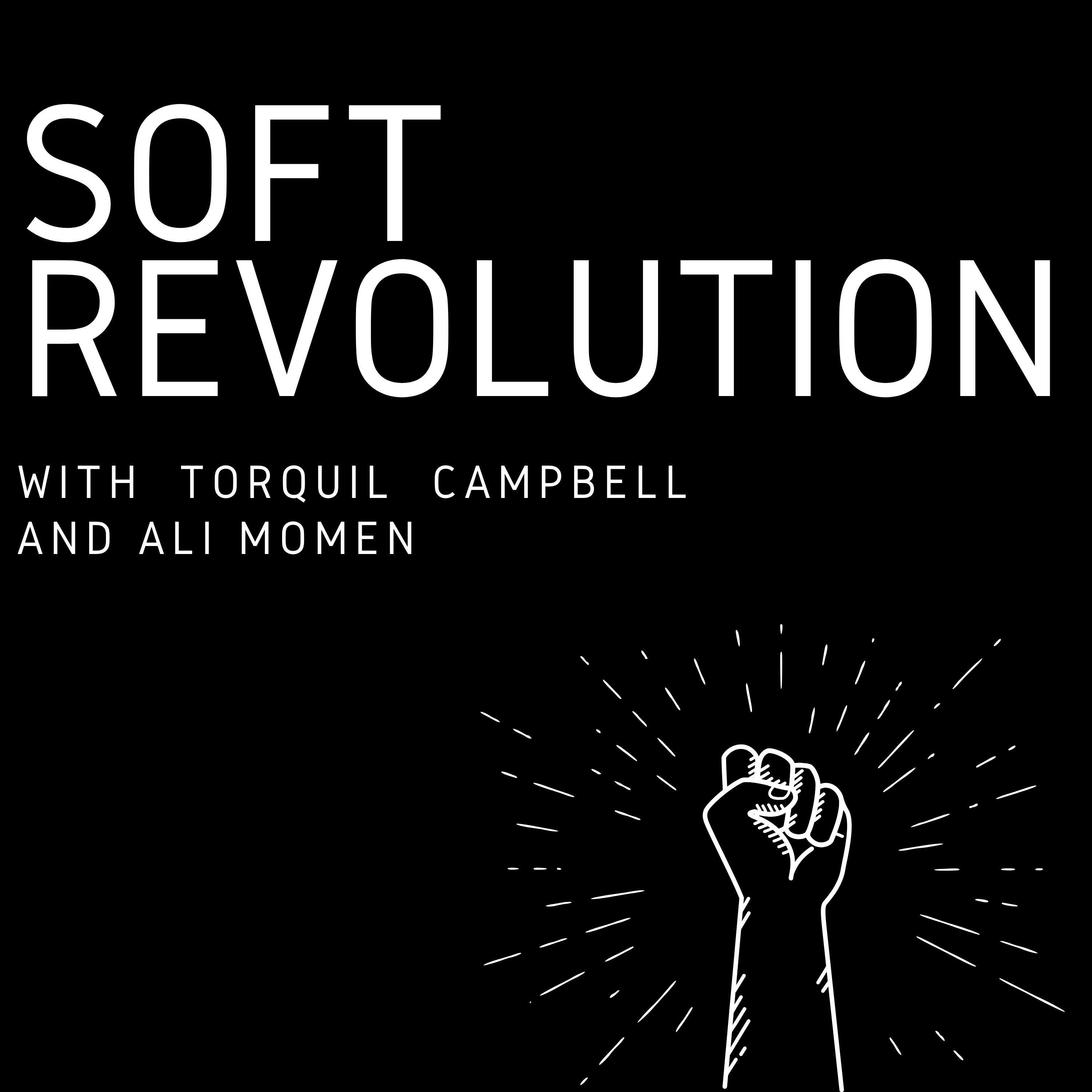 Soft Revolution