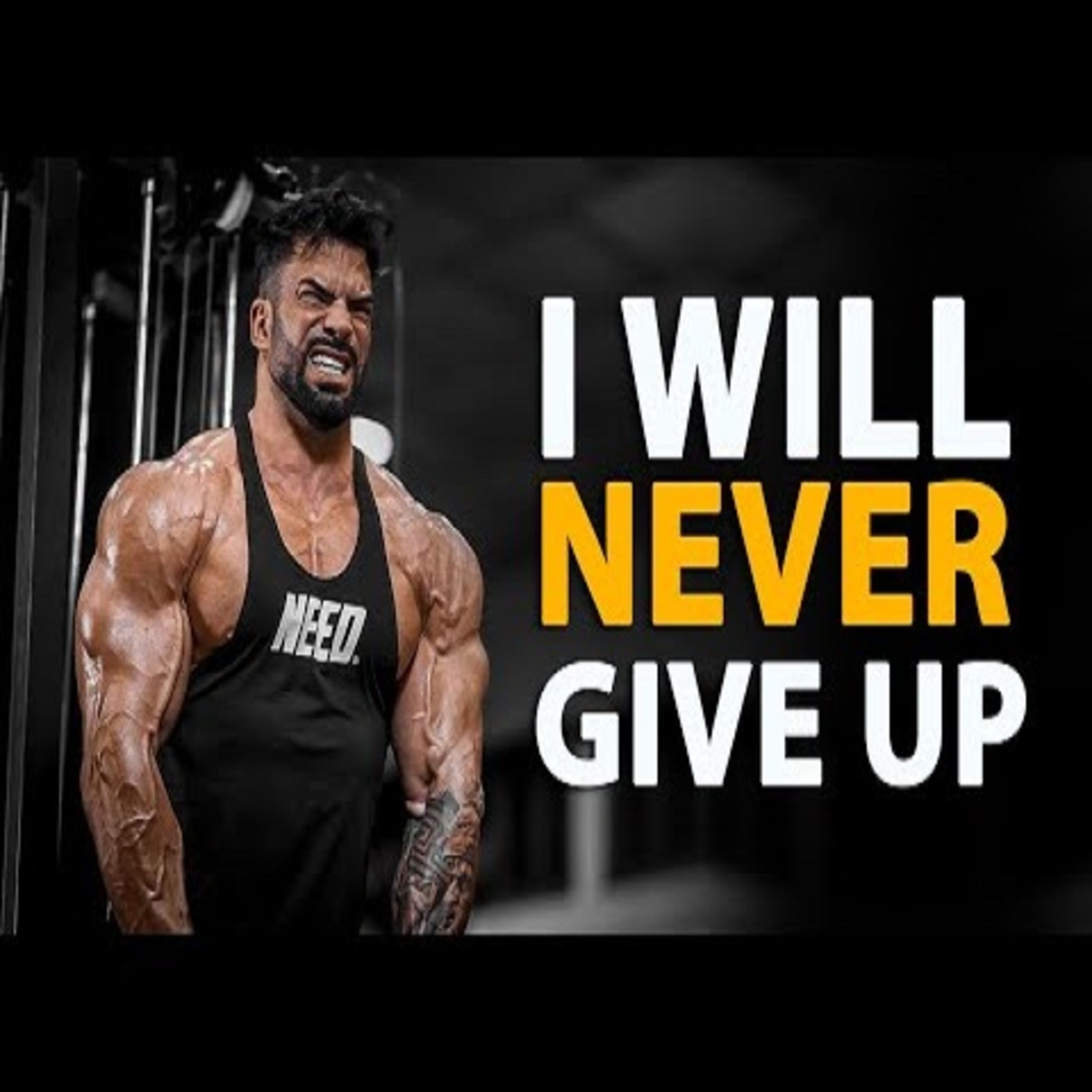 Motivational Speeches
