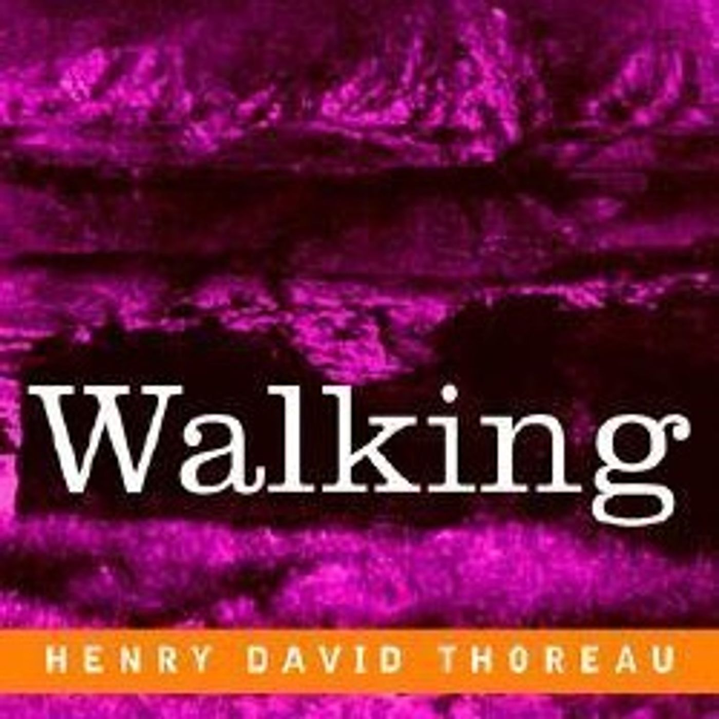 Walking by Henry David Thoreau - Book Review by SoundsPress.com