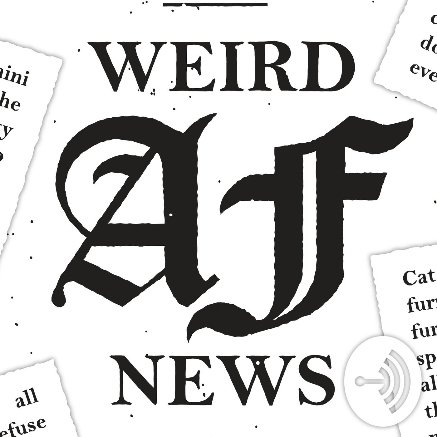 Three Santas and 40 elves rob a grocery store. kicked by a camel during Christmas performance inside Church. episode artwork
