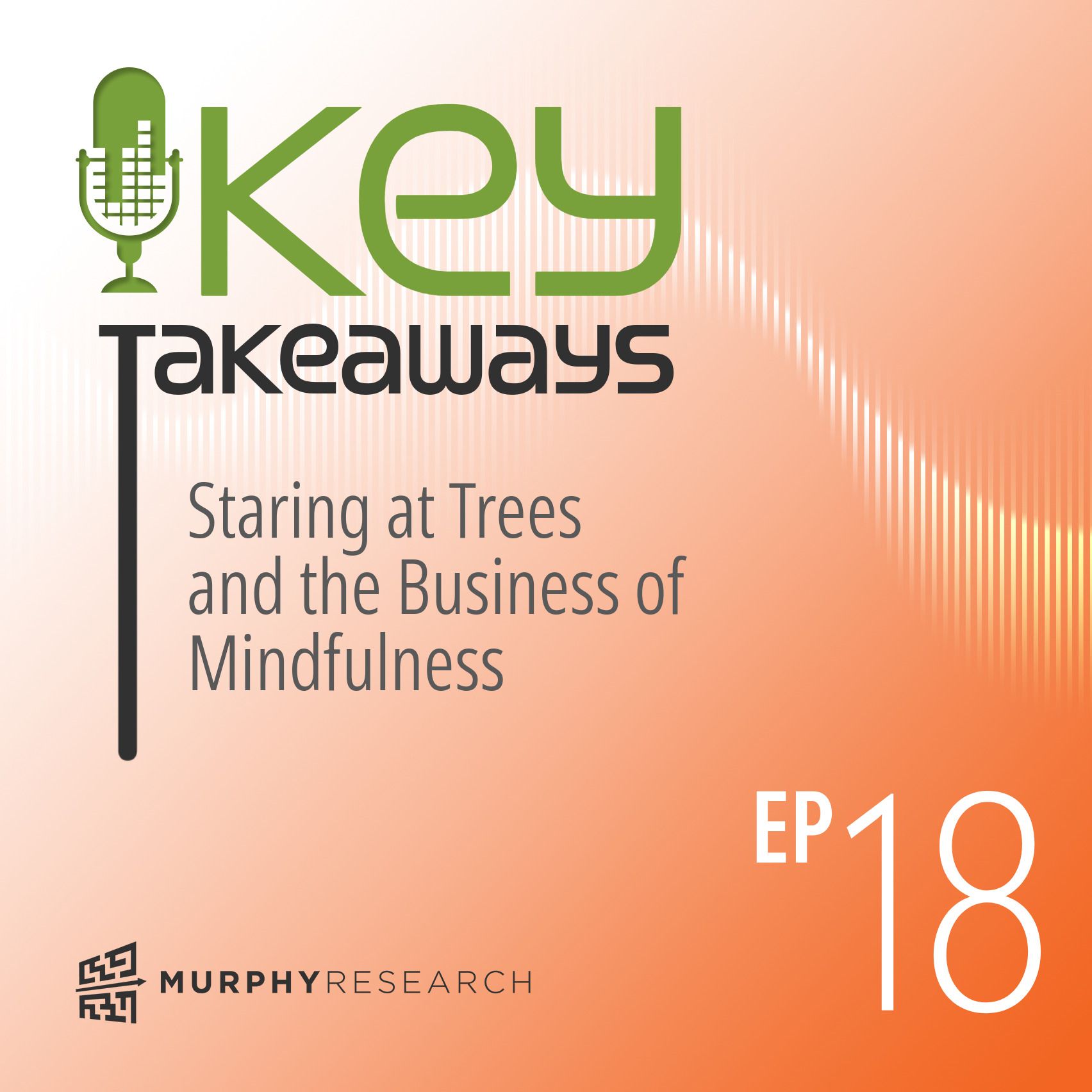 Staring at Trees and the Business of Mindfulness episode artwork