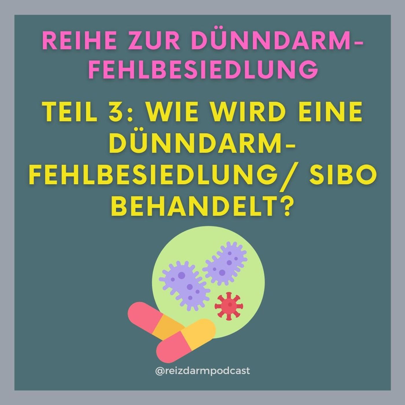 Wie wird eine SIBO/Dünndarmfehlbesiedlung behandelt?