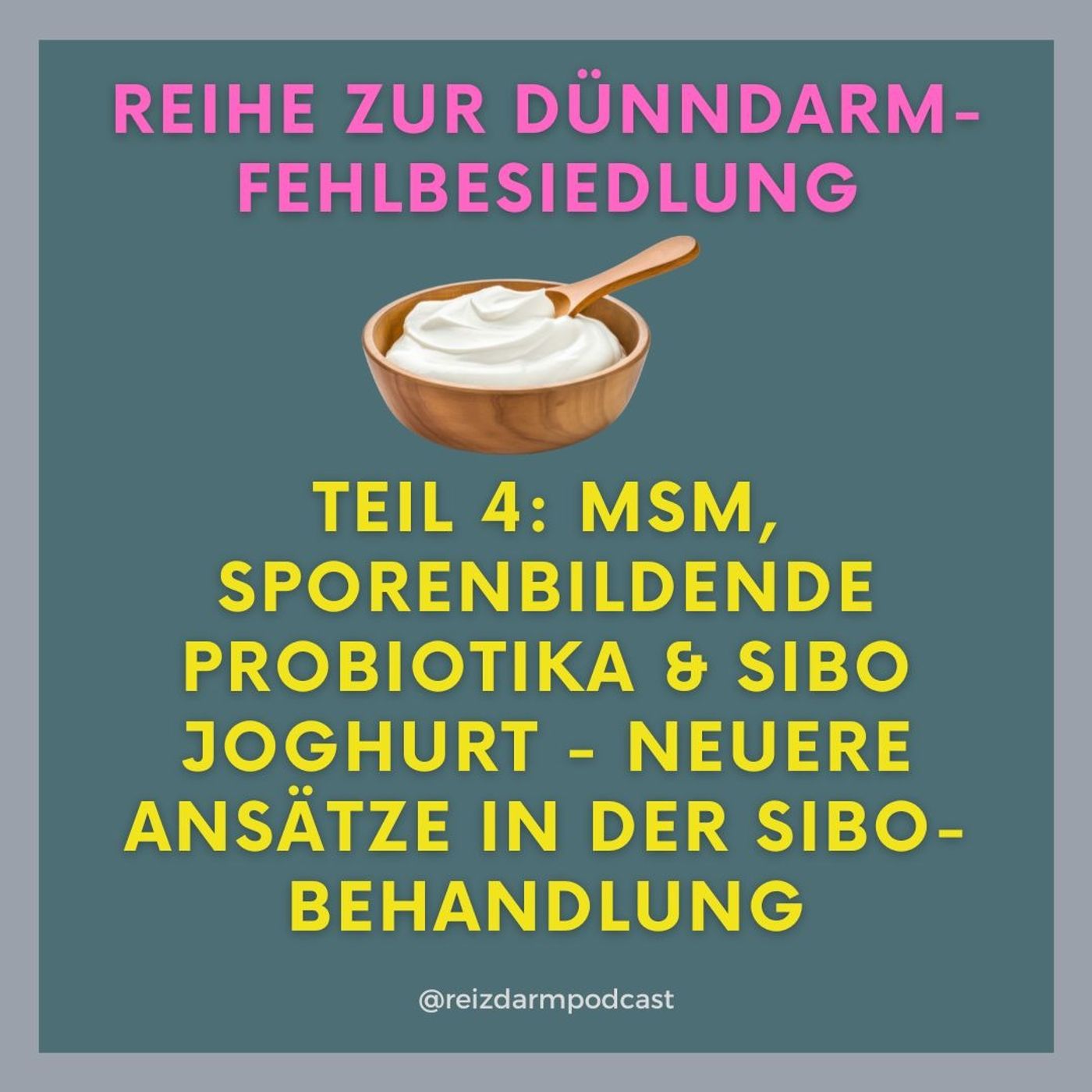 MSM, sporenbasierte Probiotika, SIBO-Joghurt - Neuere Behandlungsansätze in der SIBO-Therapie
