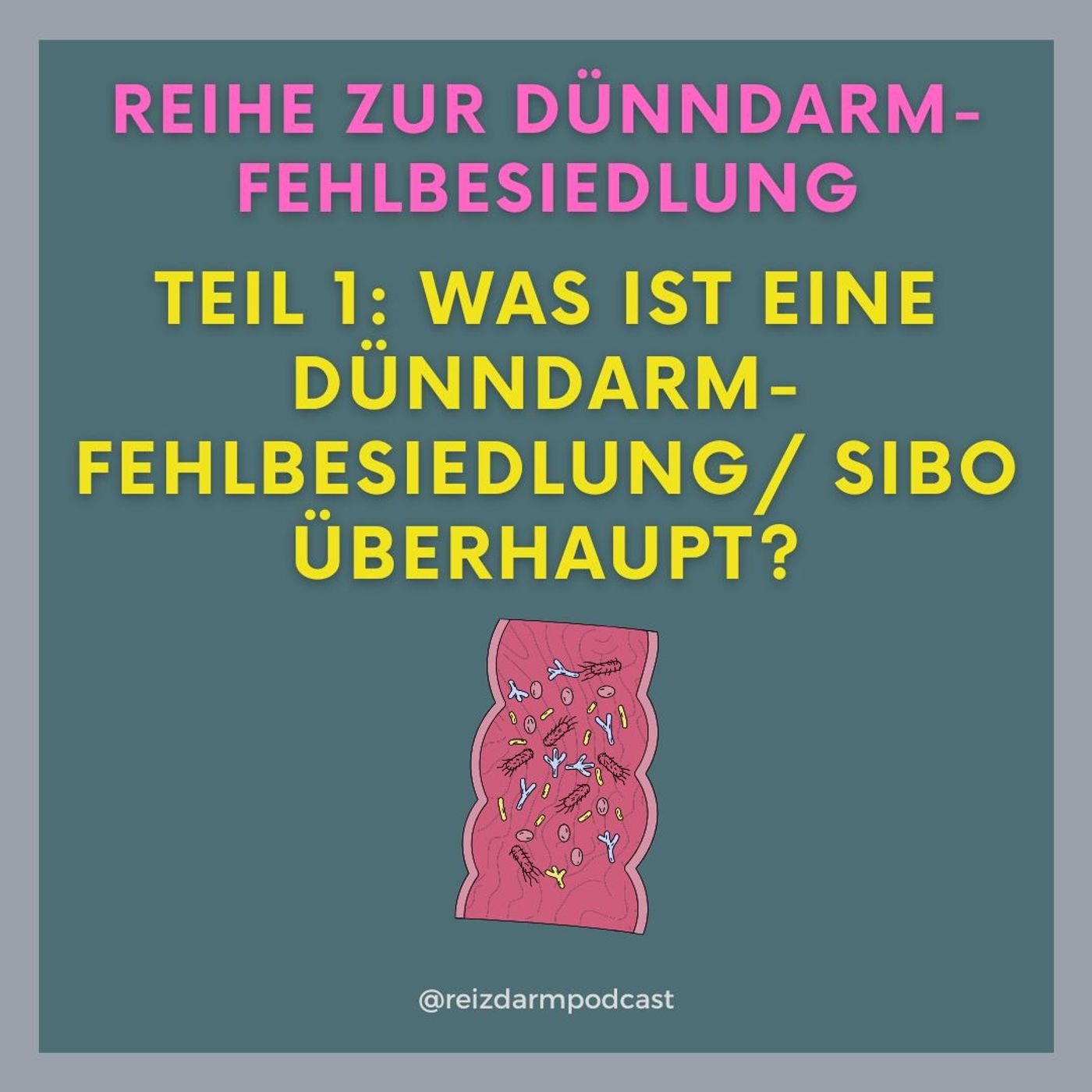 Dünndarmfehlbesiedlung/ SIBO - Was ist das überhaupt?