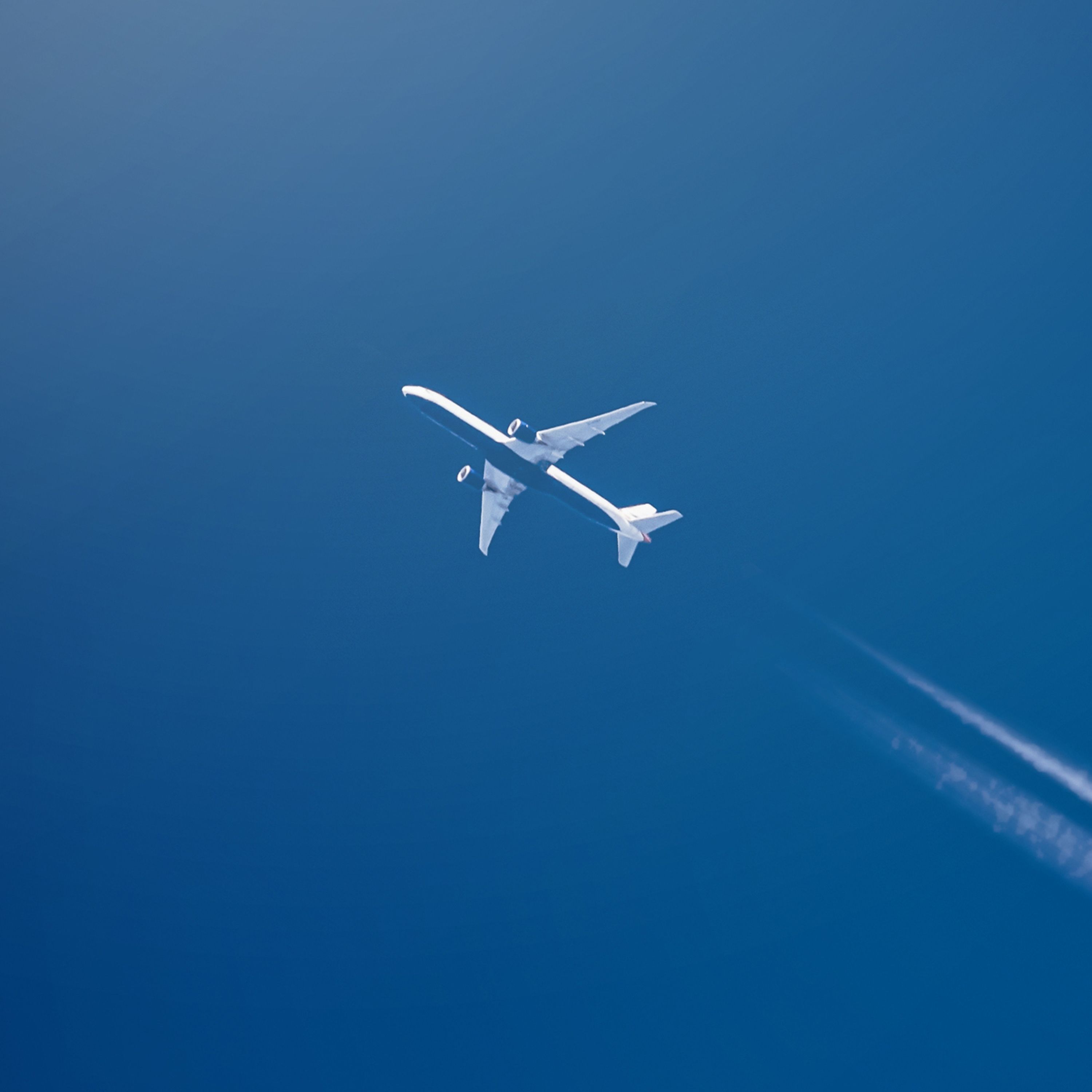 Ep. 54: Our irrational fear of flying