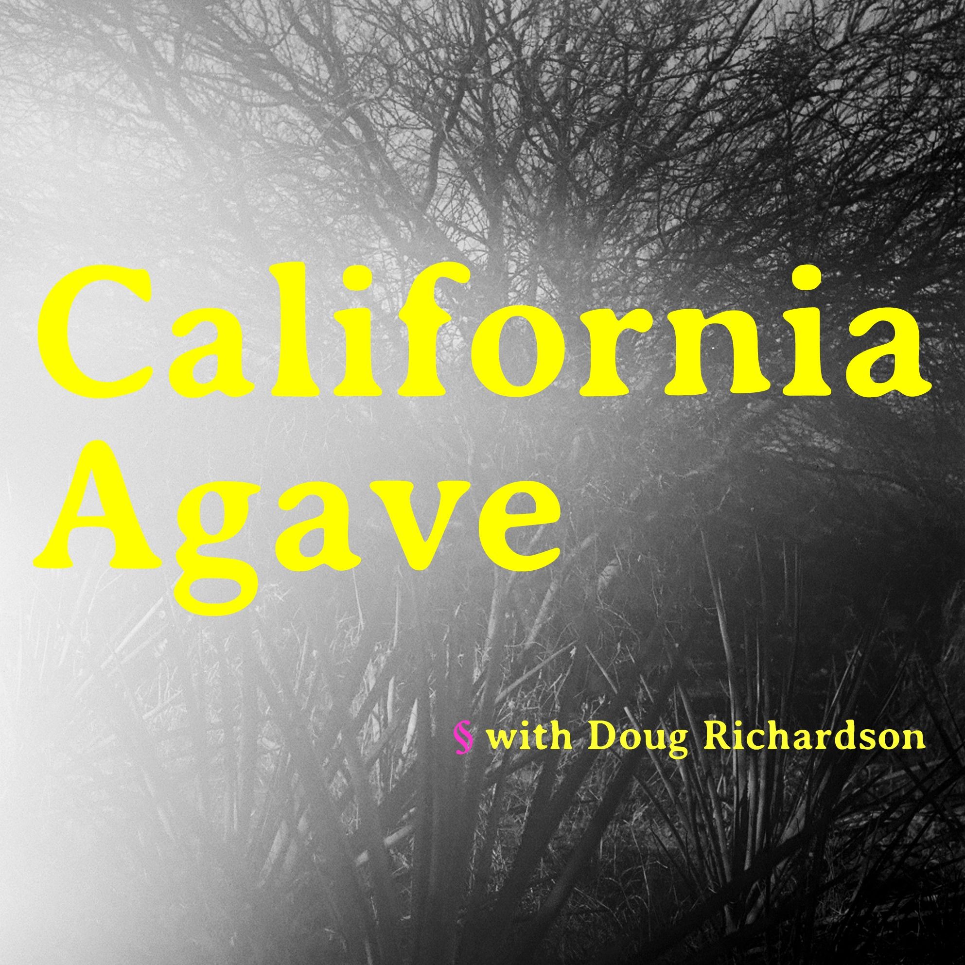 California Agave episode artwork