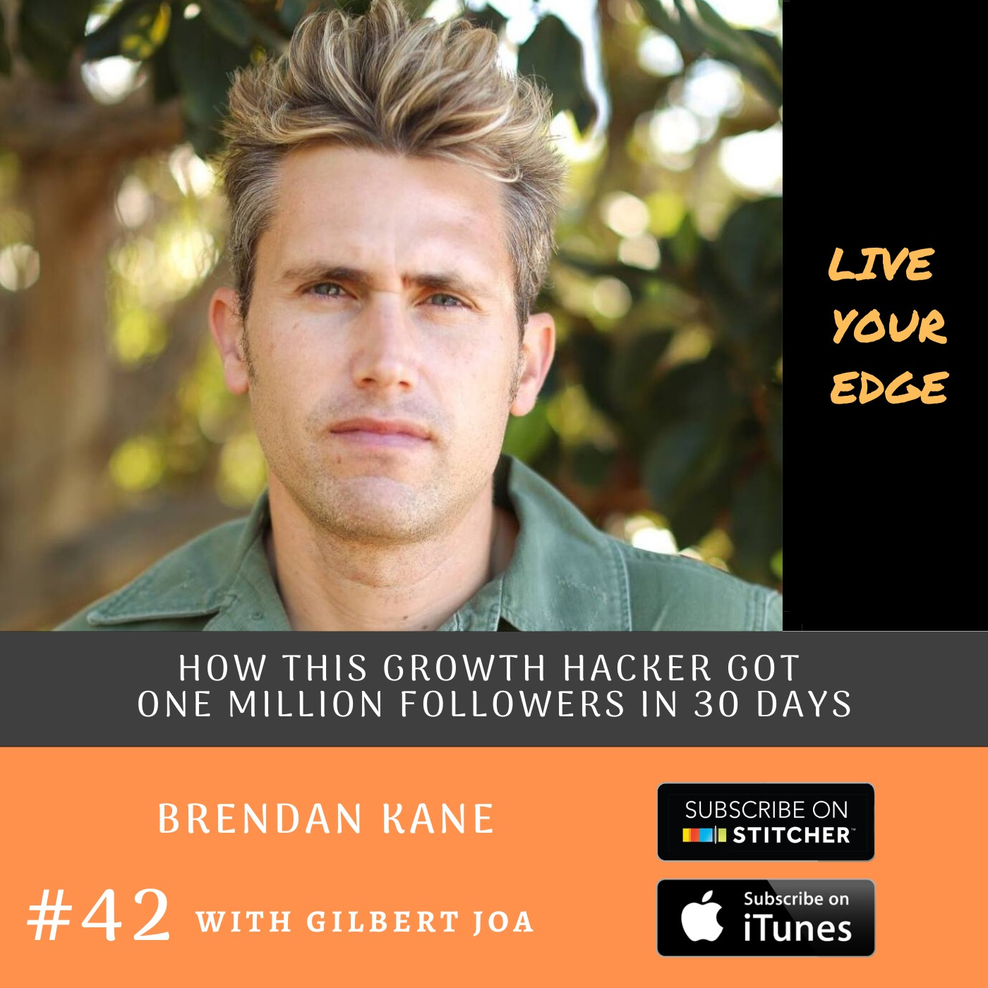 How to Gain 1 Million Followers In 30 Days with Brendan Kane episode artwork