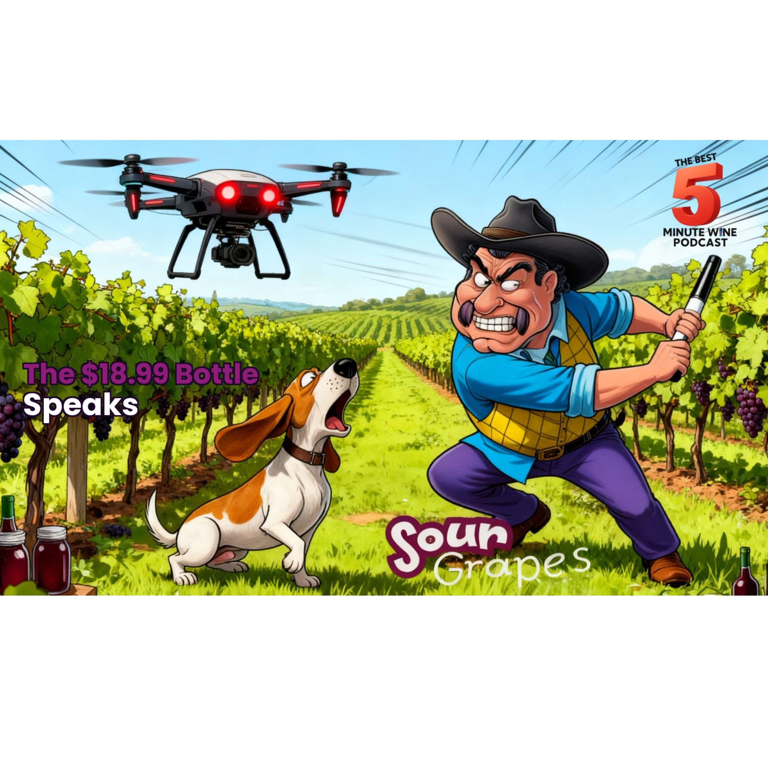 Sour Grapes -The $18.99 Wine Trap: Behavioral Economics With a Cork