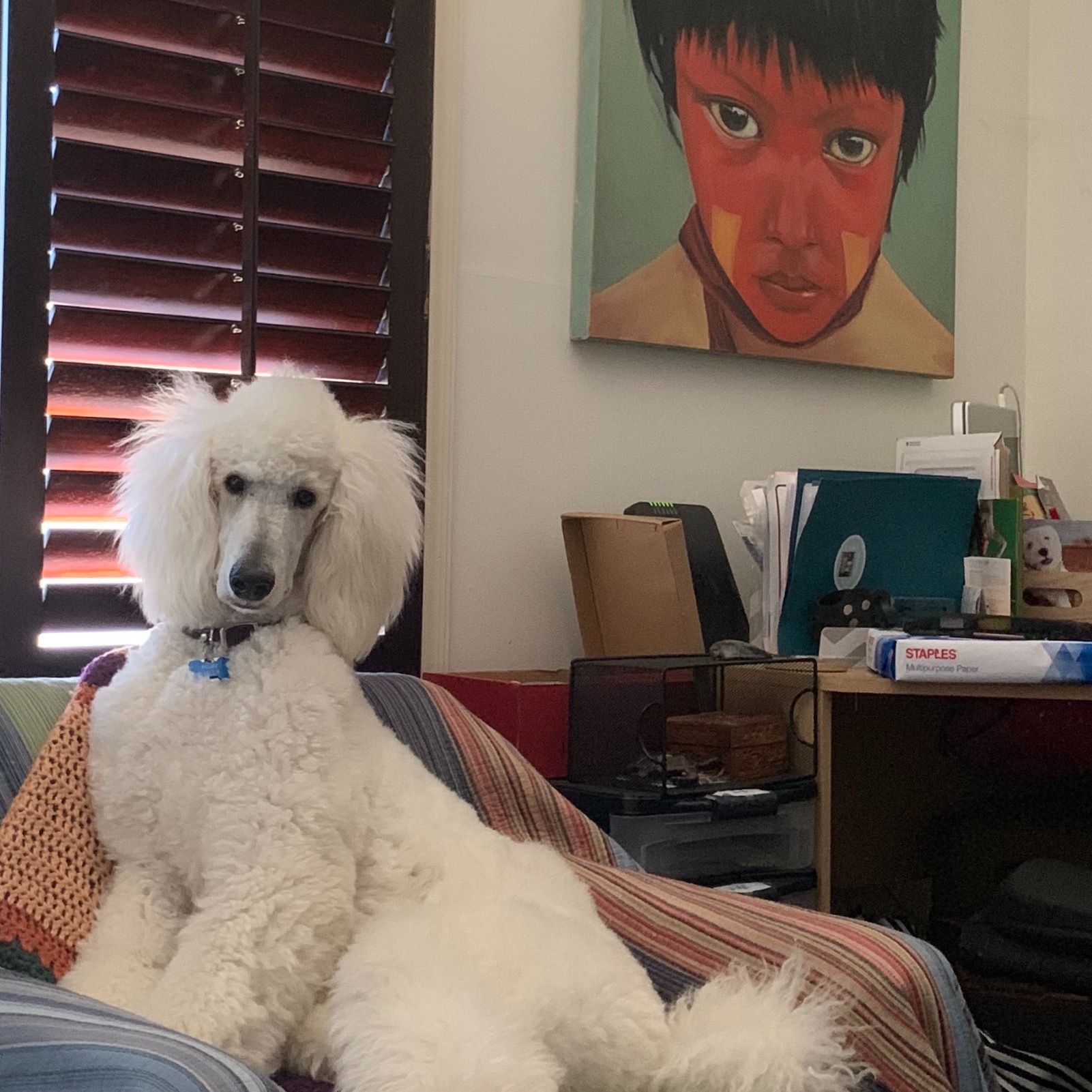 I HAVE A DOG WITH WINGS-SONG-OUR NATIVE LIFE PODCAST-11-30-2020