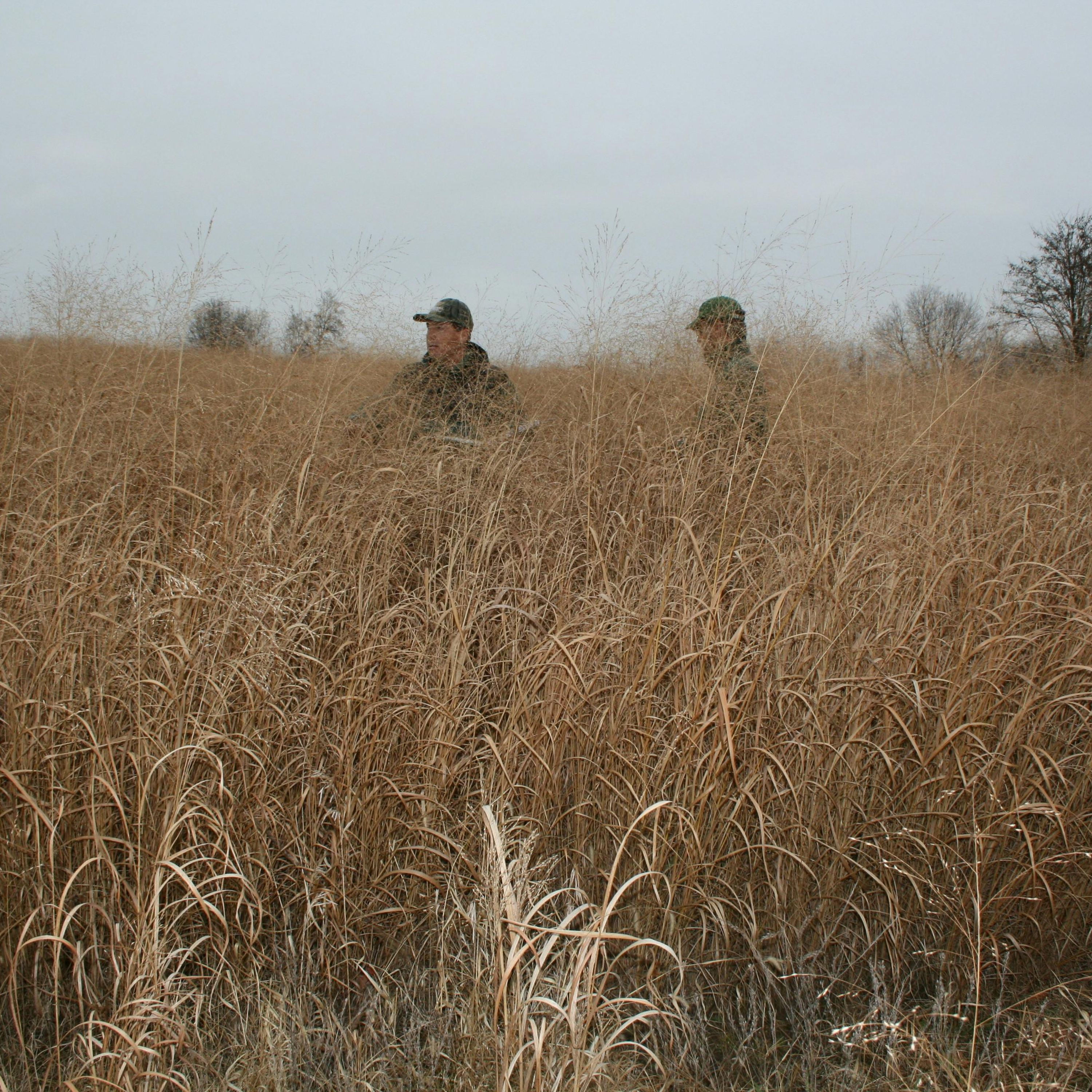 The Cooperative Extension System