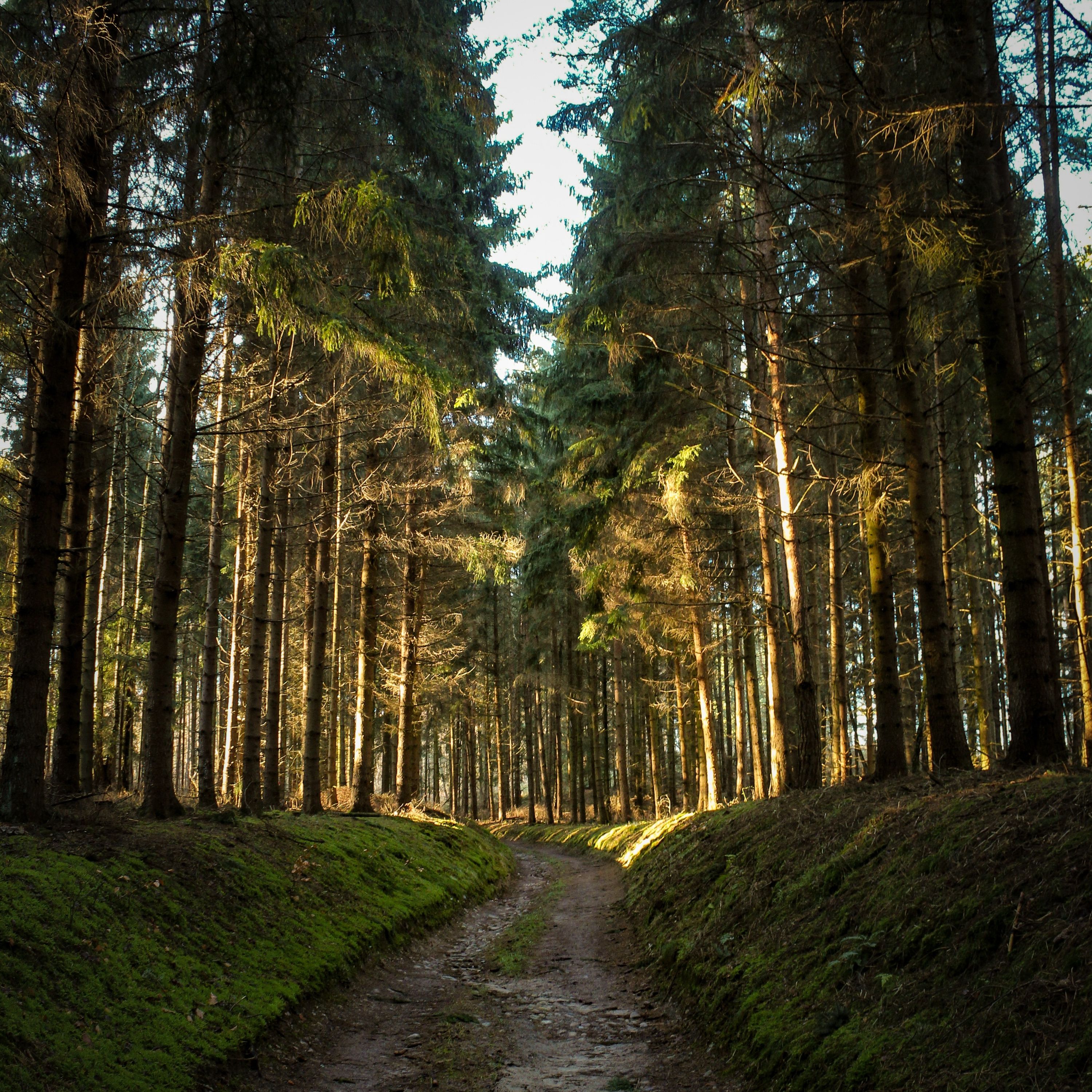 #19 Increasing Your Joy