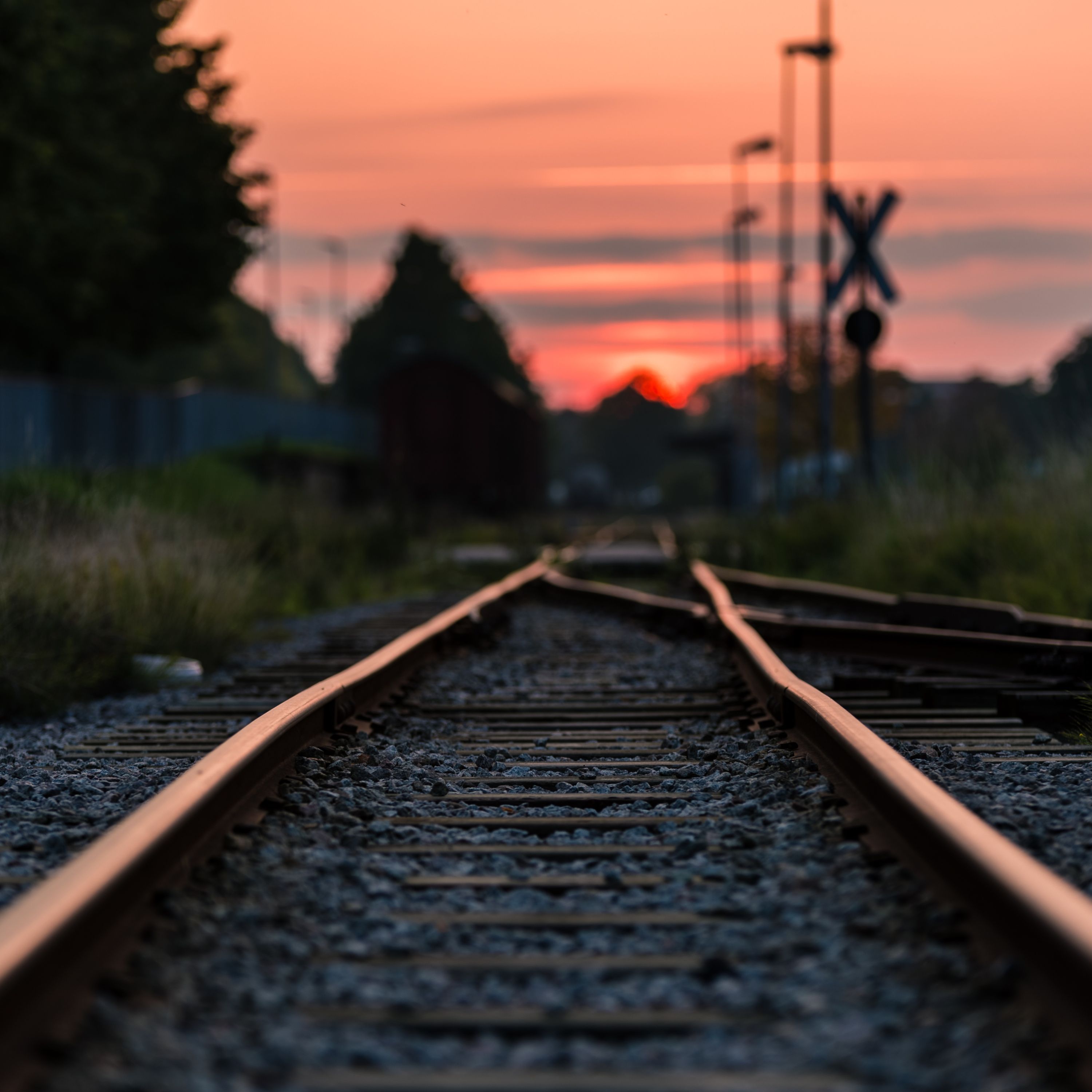#6 Two Tracks of the Rail