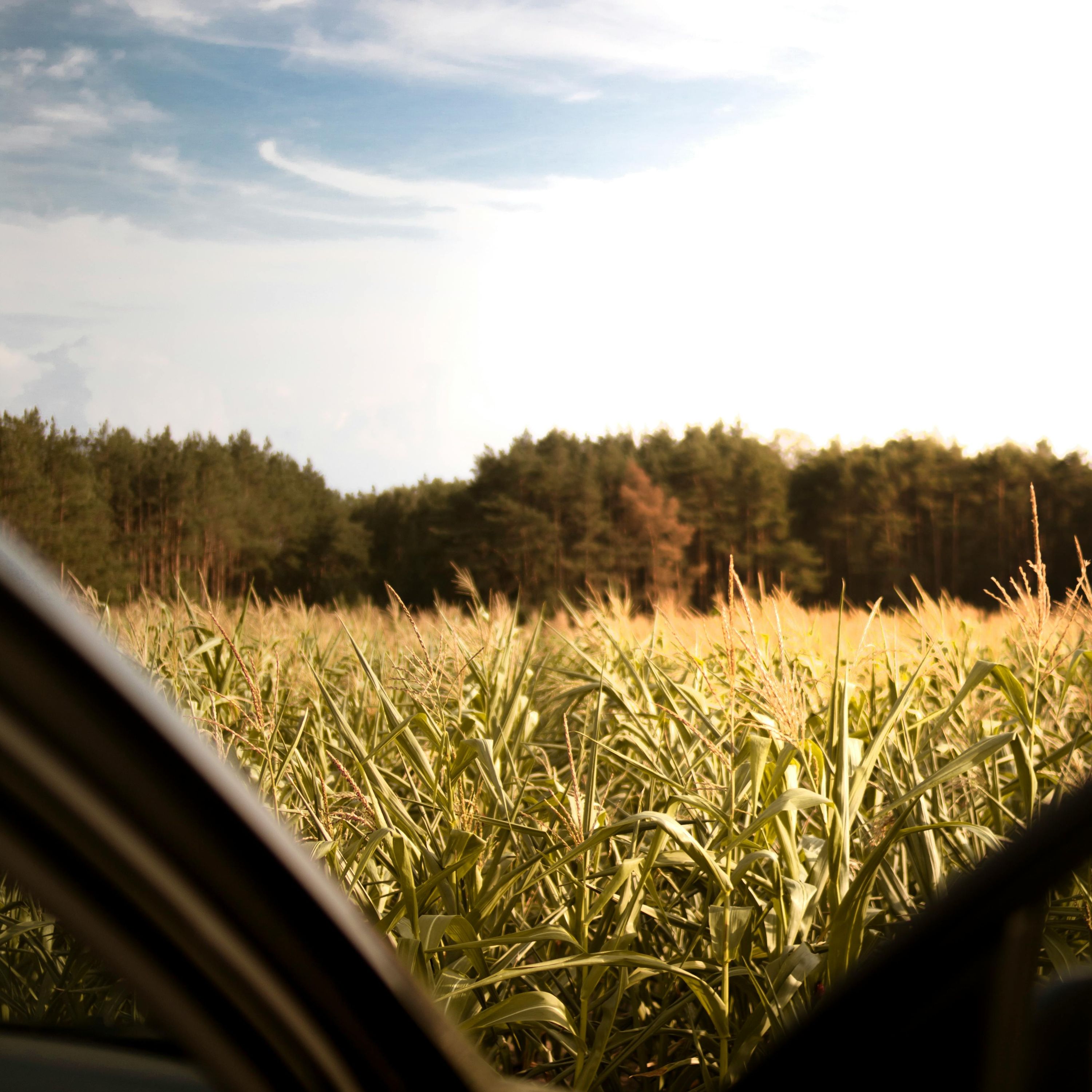 #146 A Field Report