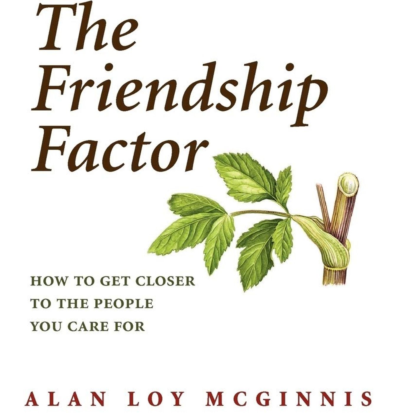 #18 The Friendship Factor