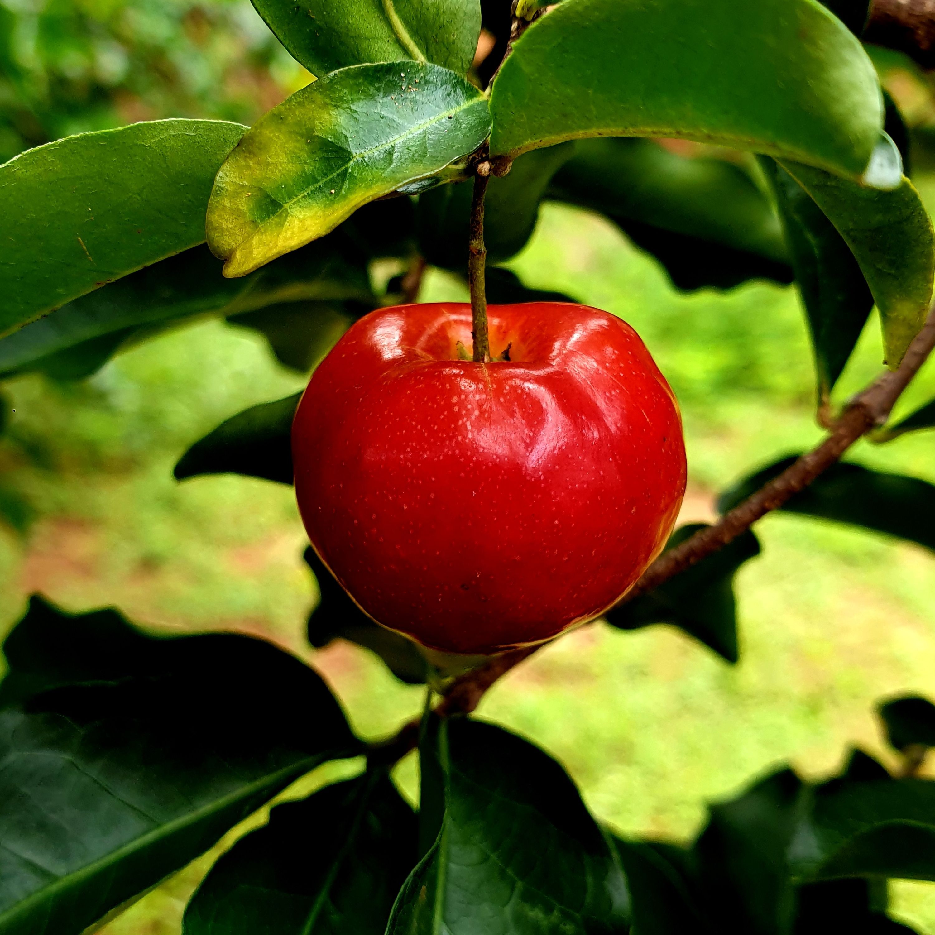 #20 The Big, Deadly Sin