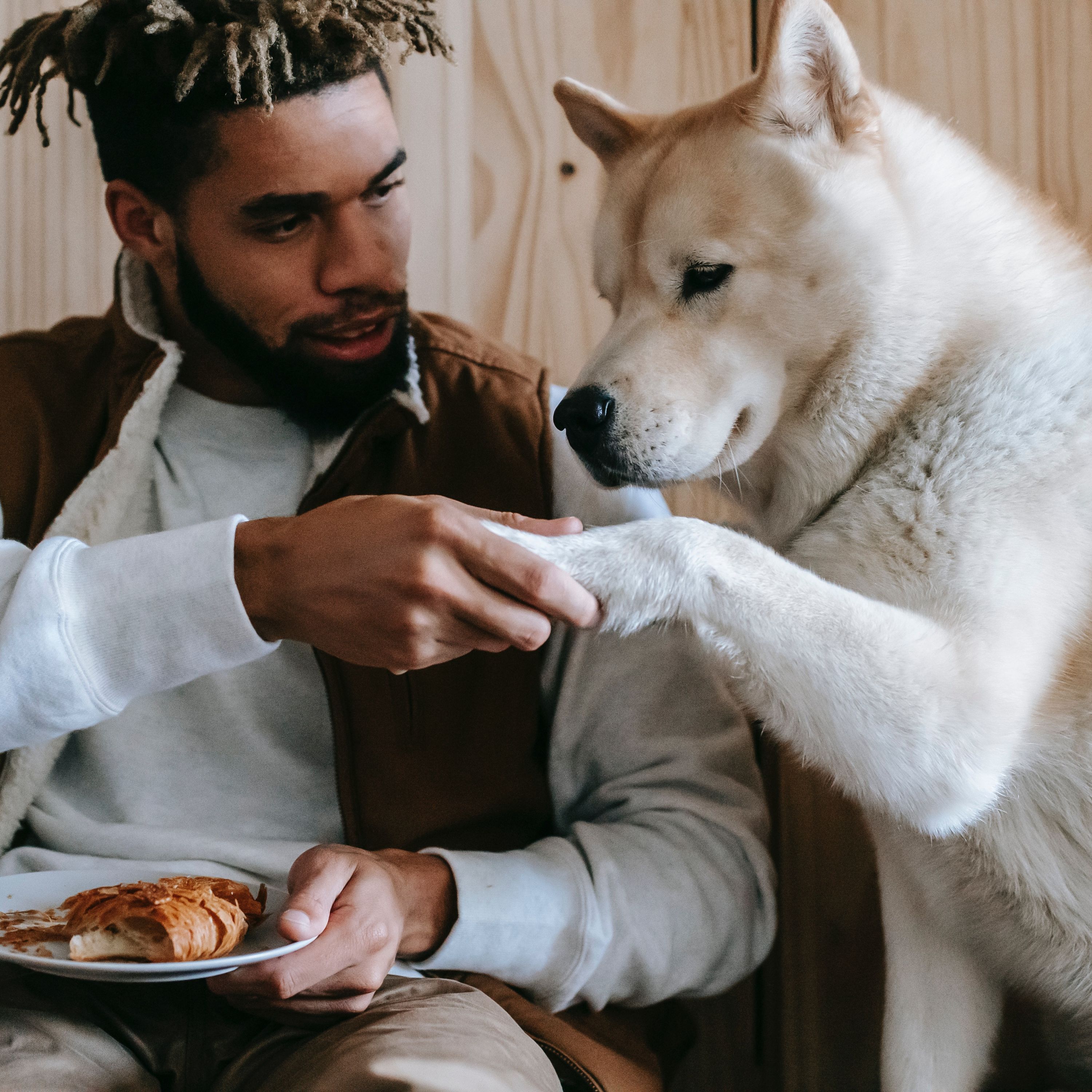 #54 Leftovers for the Puppy Dogs