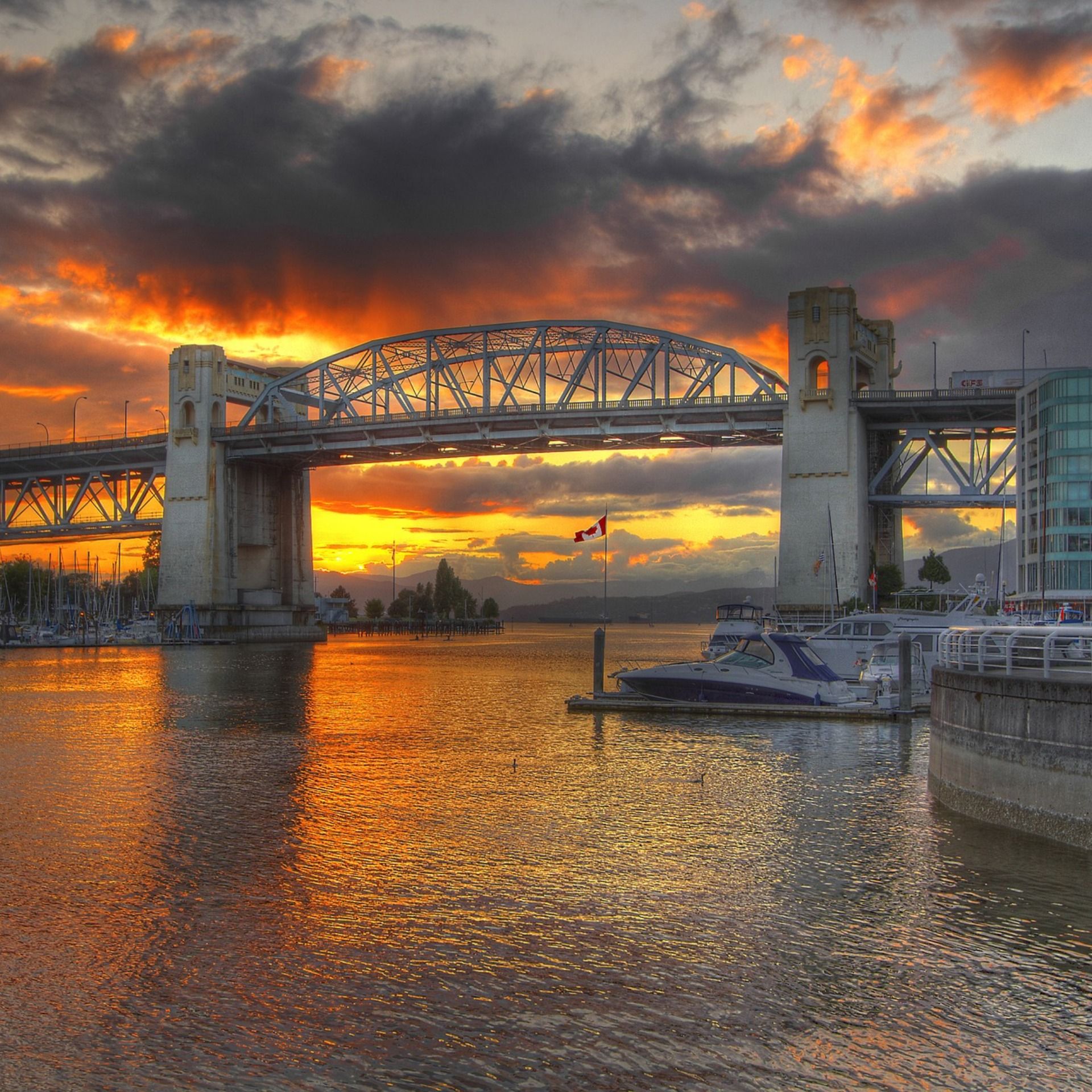 Cambie Report