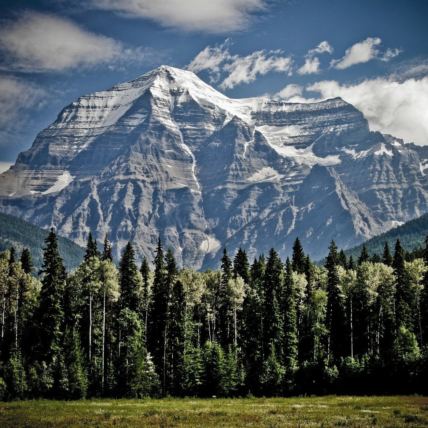 Ep 164: What do the BC Liberals stand for in 2019?