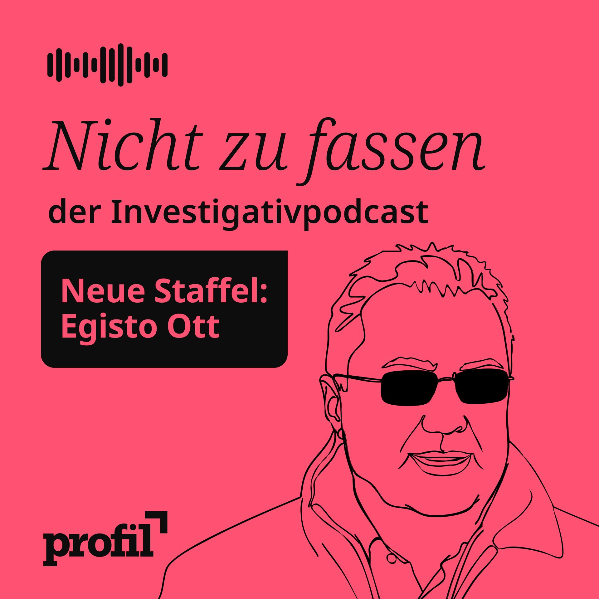 Nicht zu fassen. Der profil-Investigativpodcast