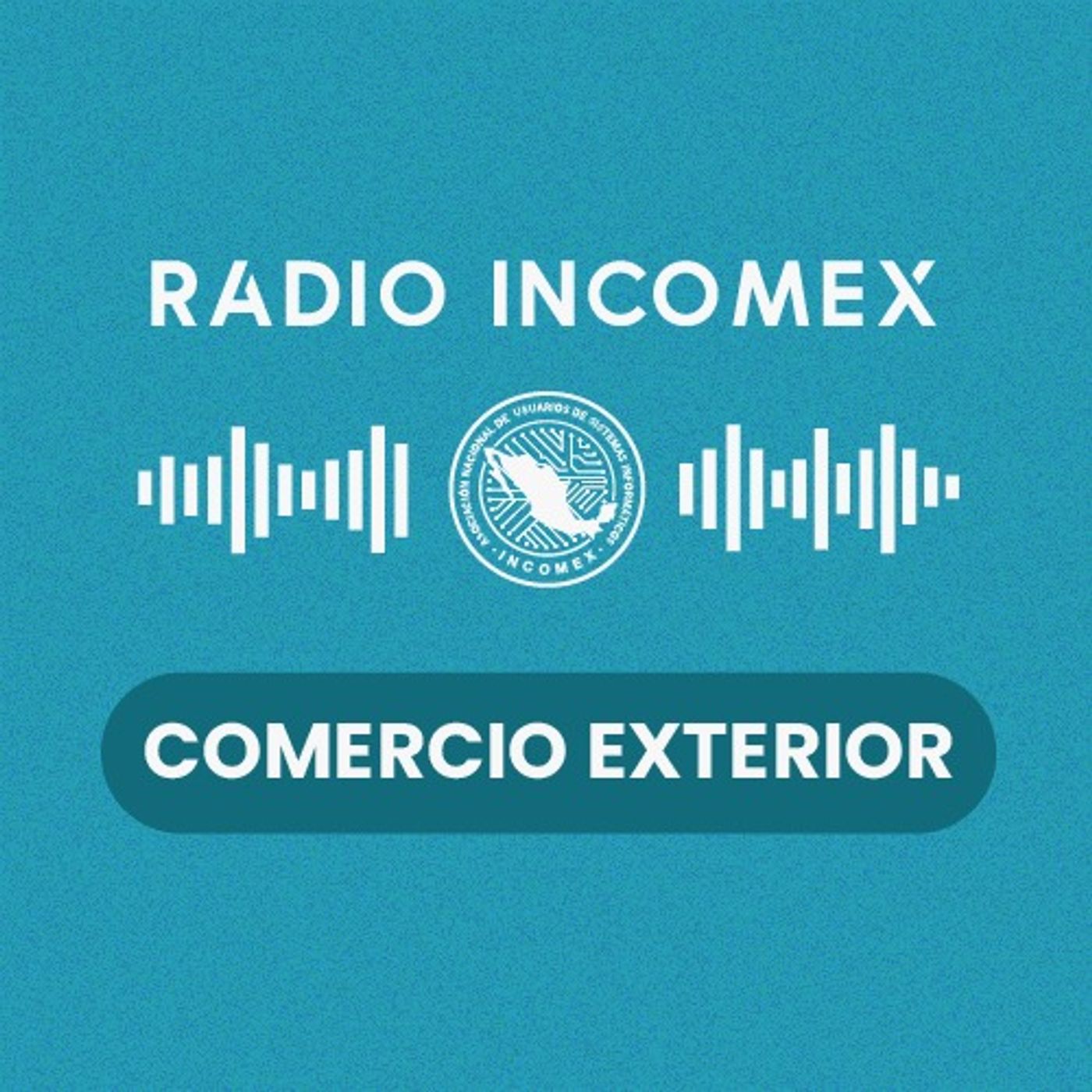 Regla 8va: ventajas y buenas prácticas de cumplimiento