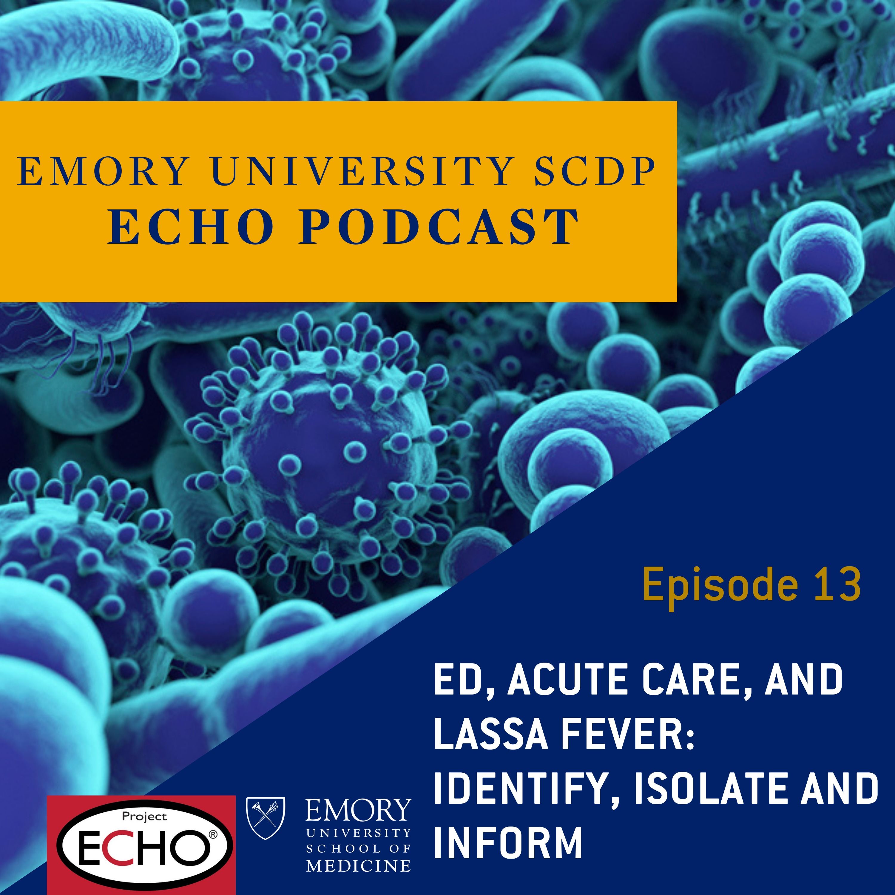 ED, Acute Care, and Lassa Fever: Identify, Isolate, and Inform