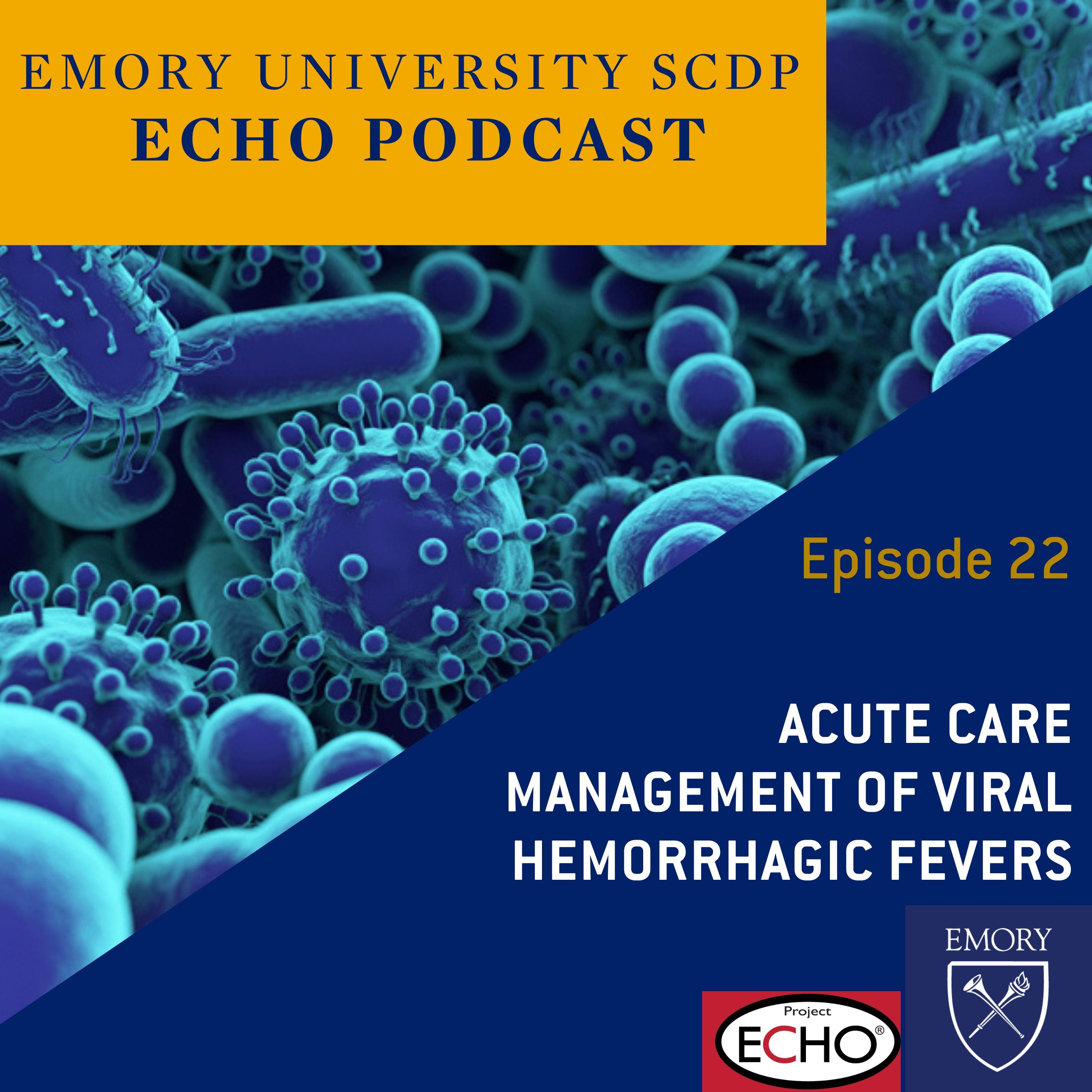 Acute Care Management of Viral Hemorrhagic Fevers