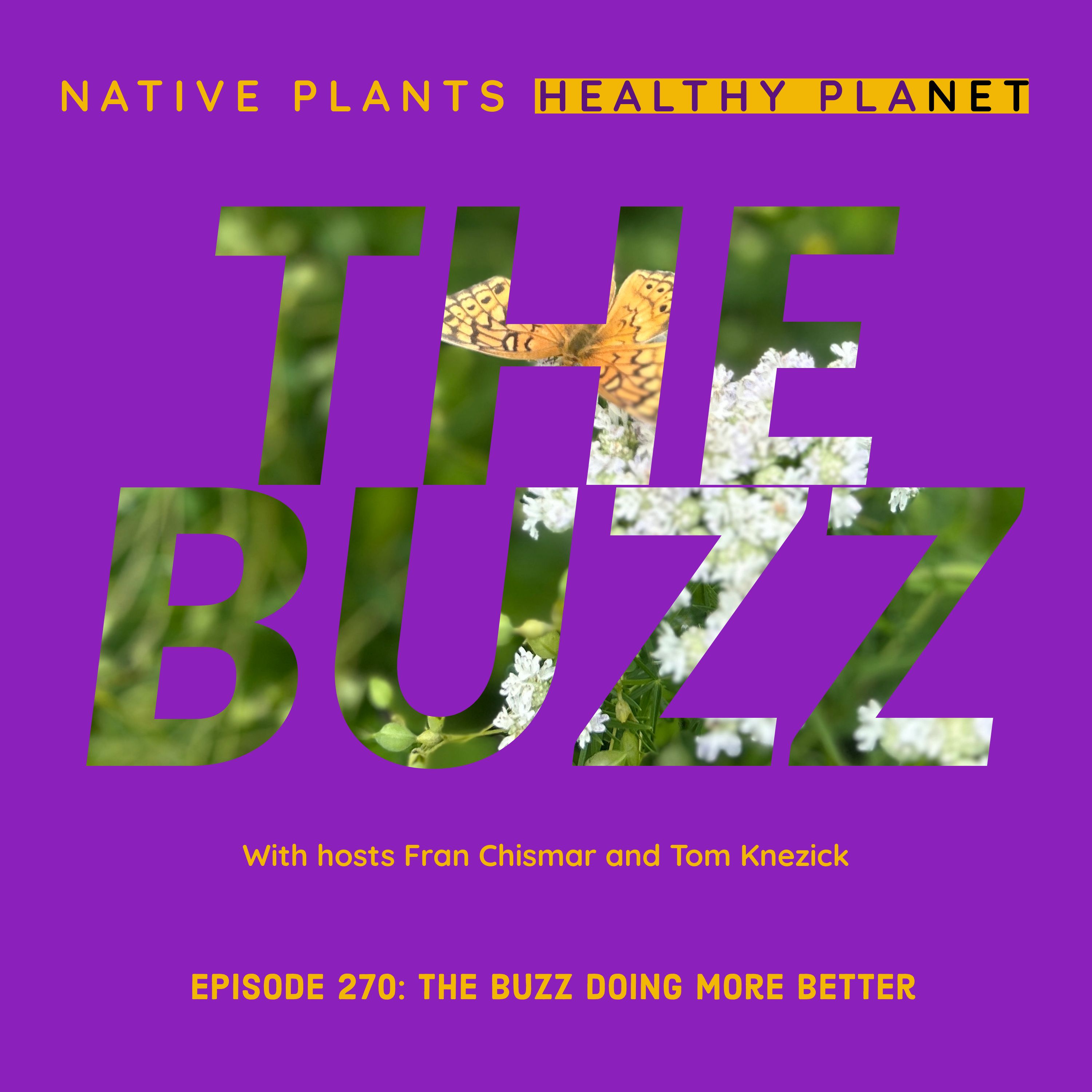 The Buzz - Do More Better
