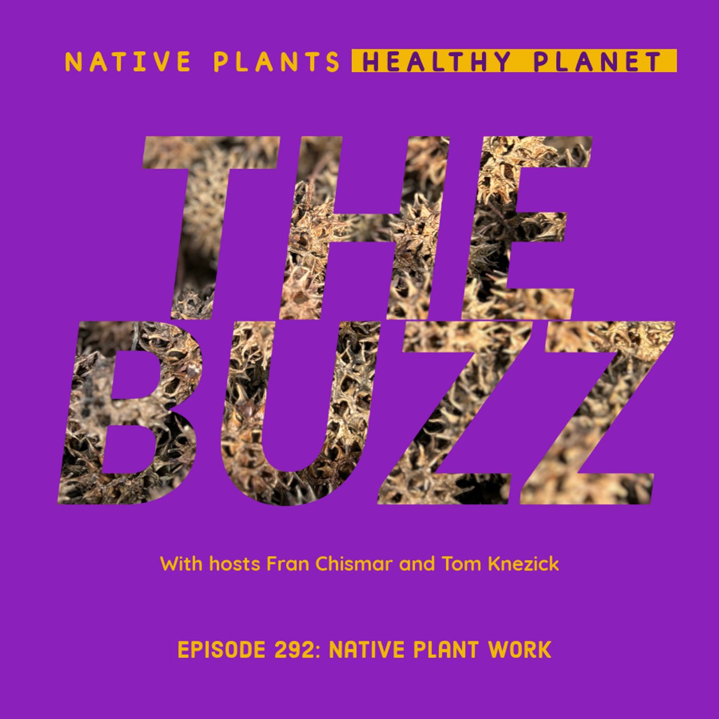 The Buzz - Native Plant Work The Buzz - Native Plant Work