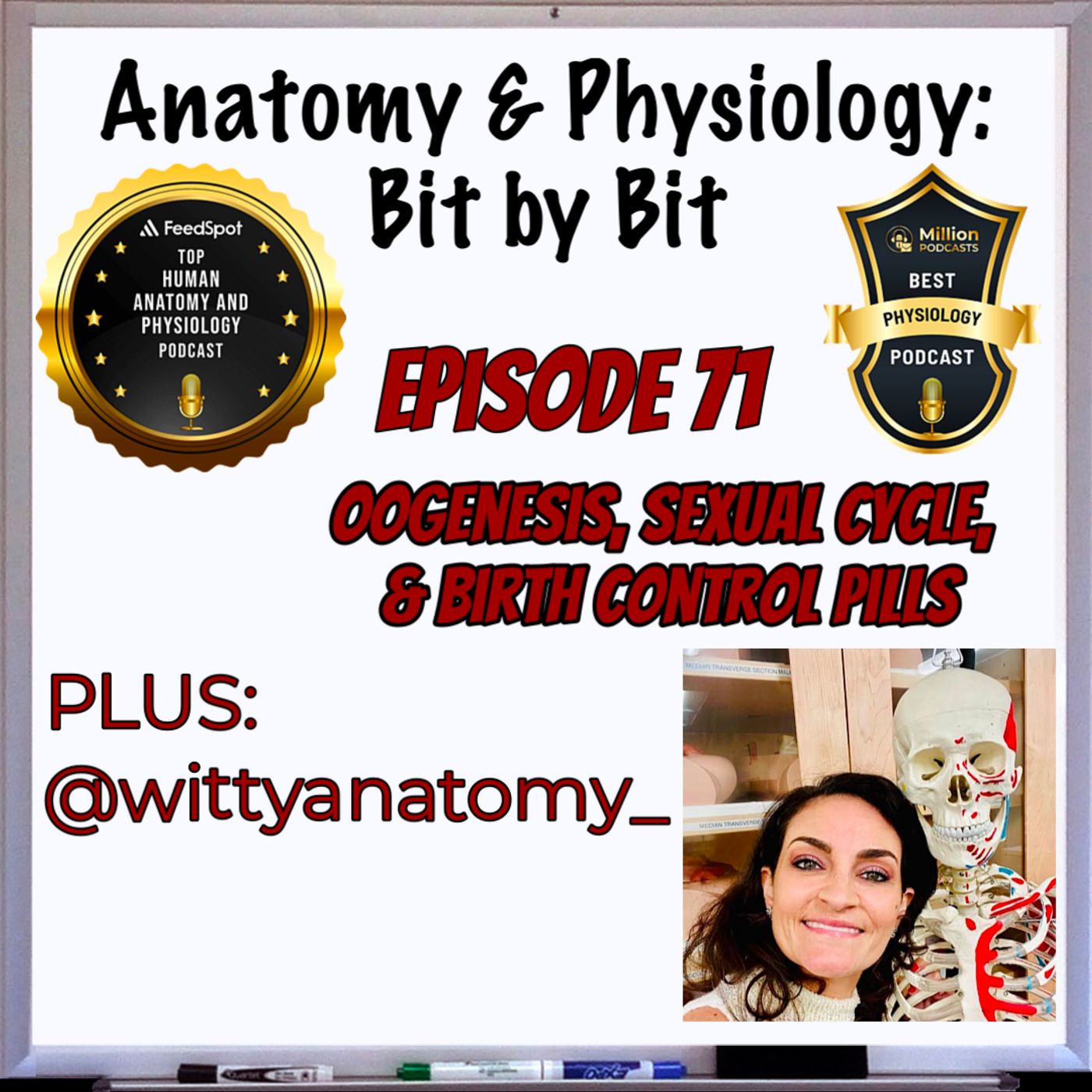 Anatomy and Physiology - Bit by Bit