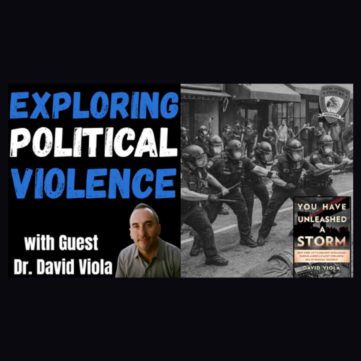 The Rise of Political Violence In America episode artwork