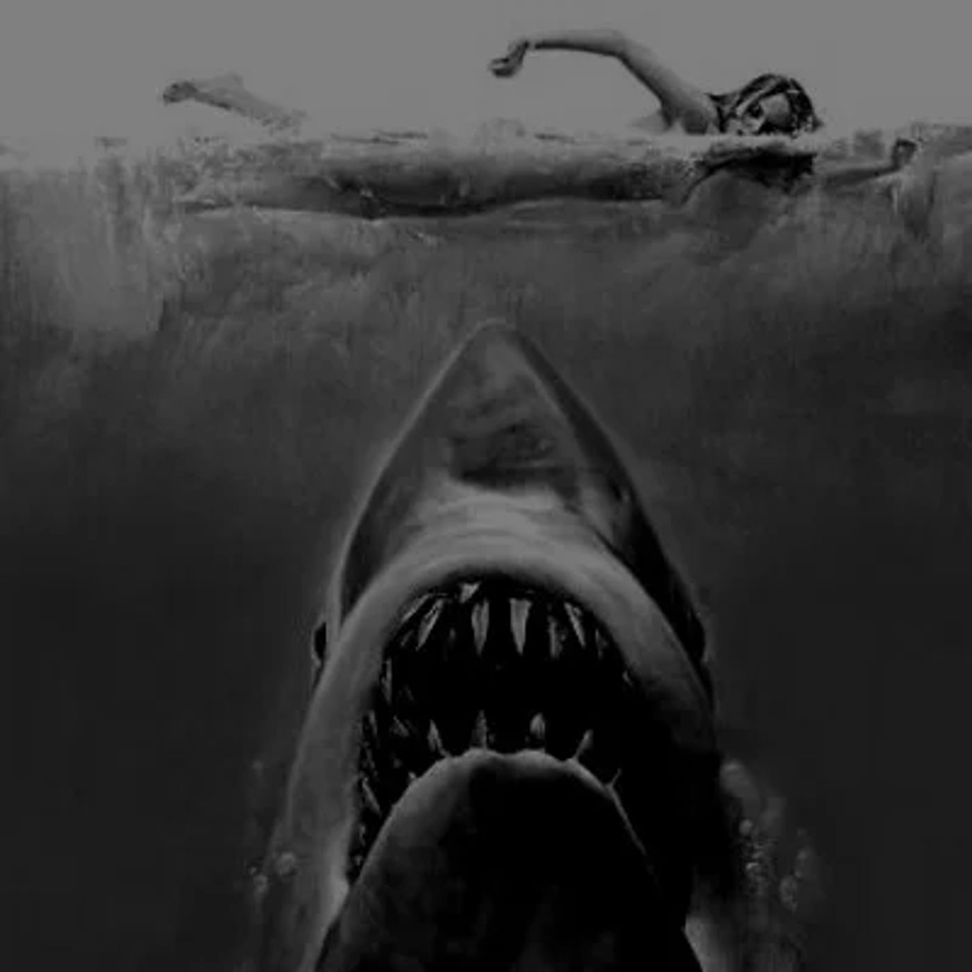 The Dark Room: Jaws Watch Party with Jacob Everett