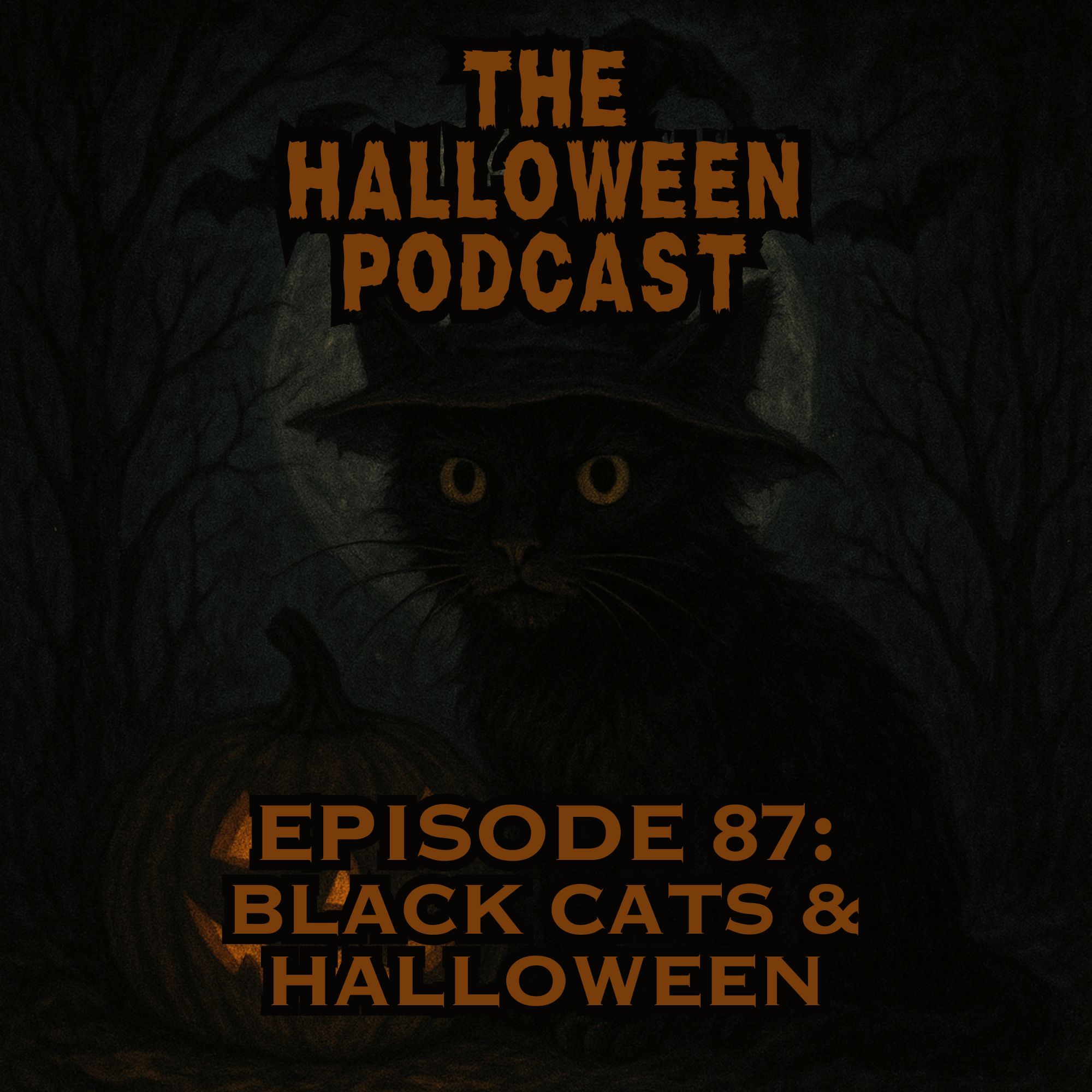 Black Cats History In Halloween | Ep. 87