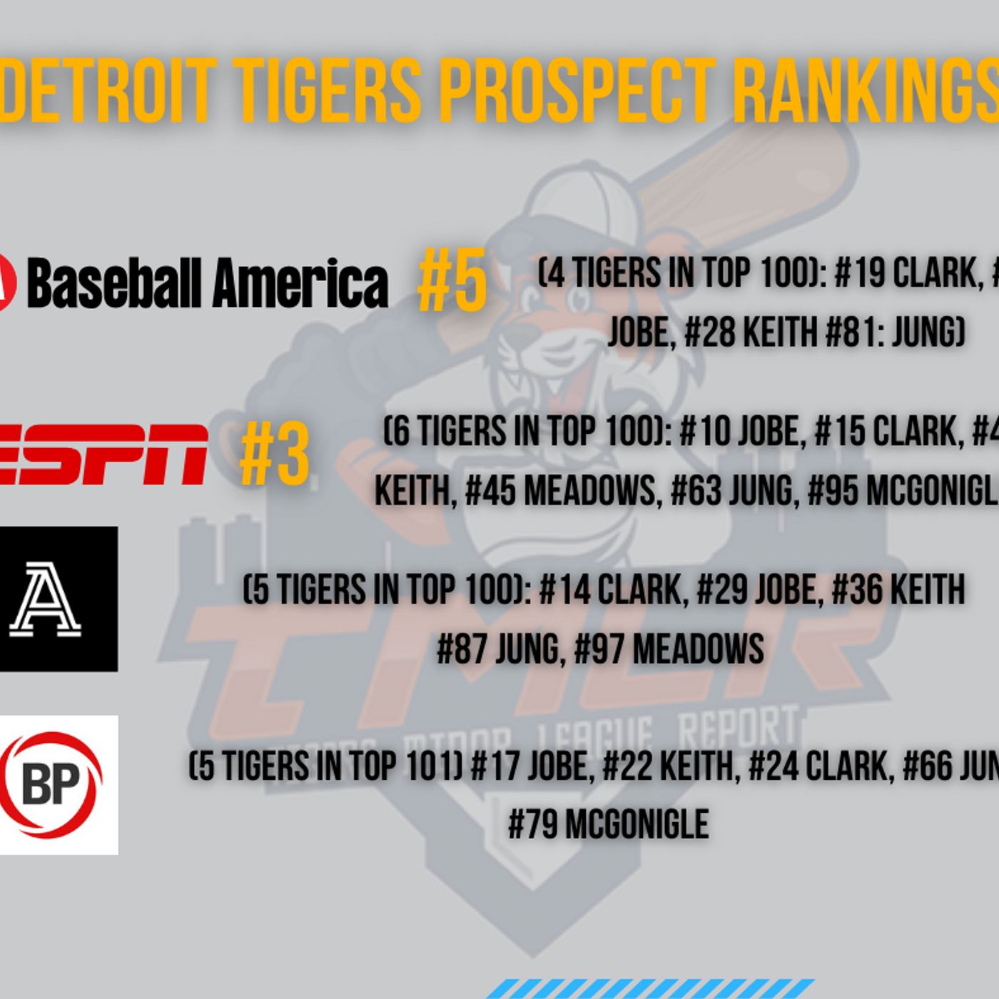 The Detroit Tigers Minor League Report Podcast