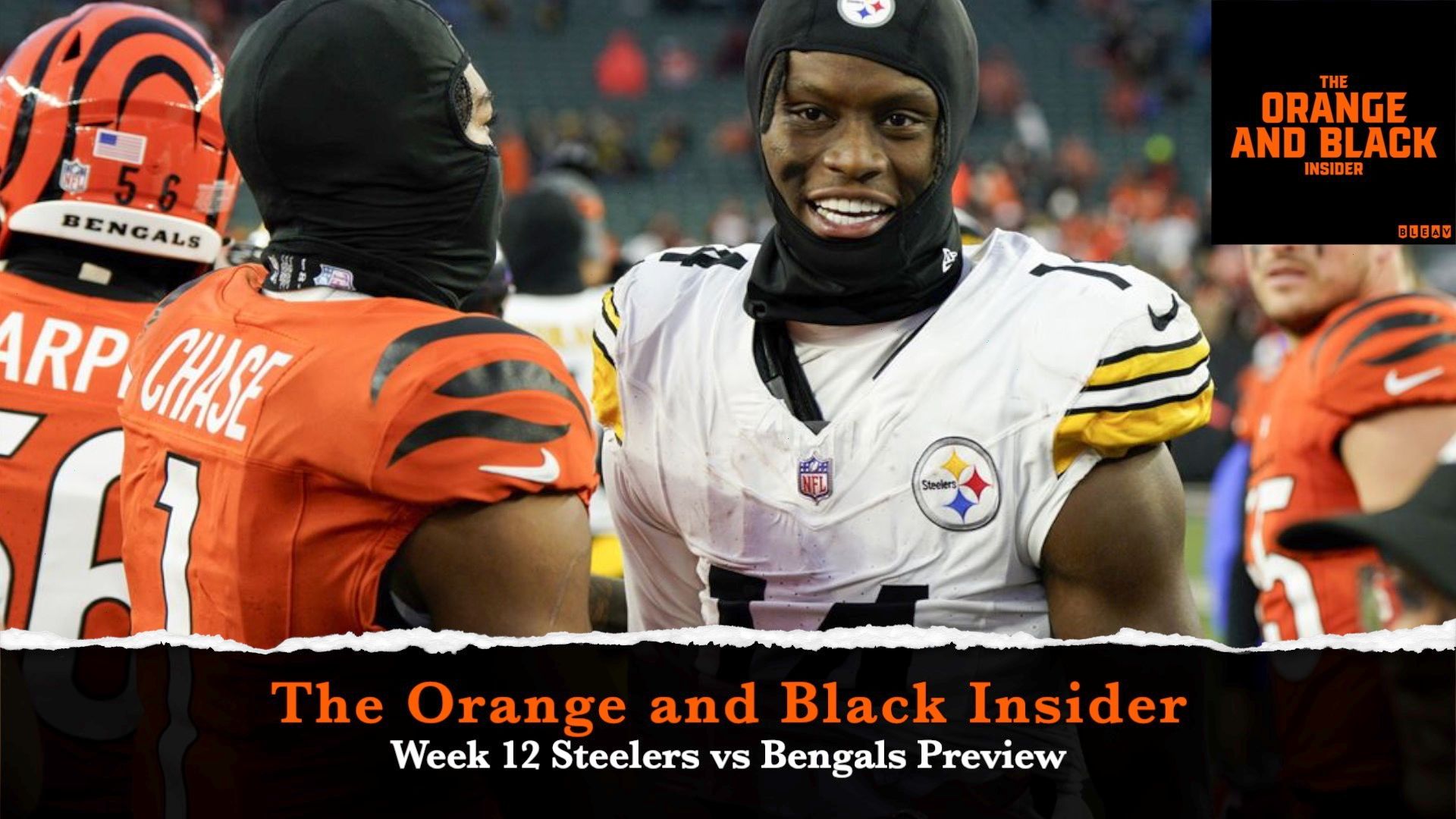 Week 12 Steelers vs Bengals Preview: The Orange and Black Insider